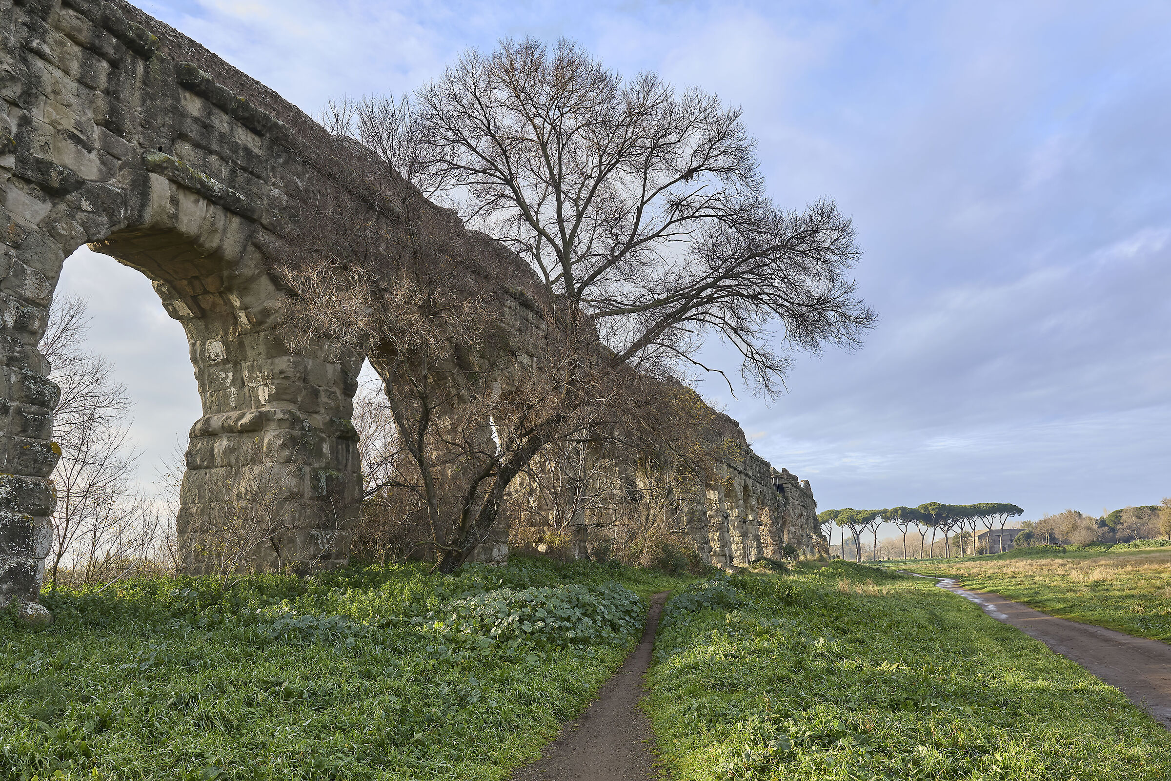 Roman Aqueduct