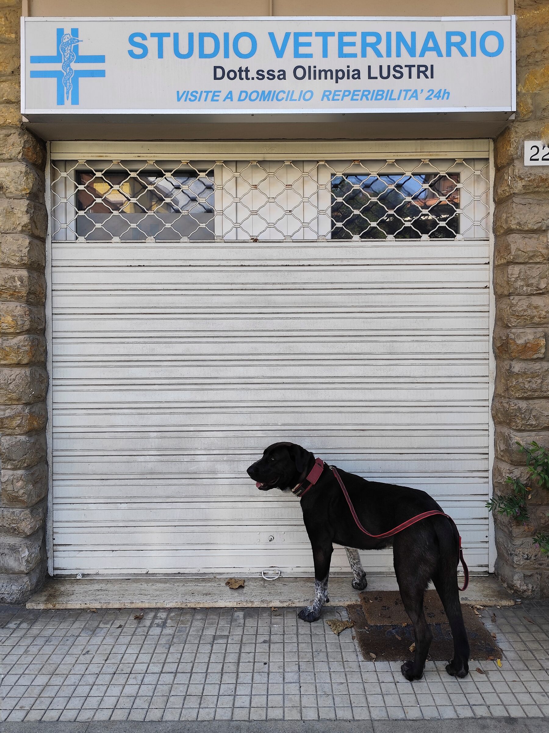 L'attesa 2