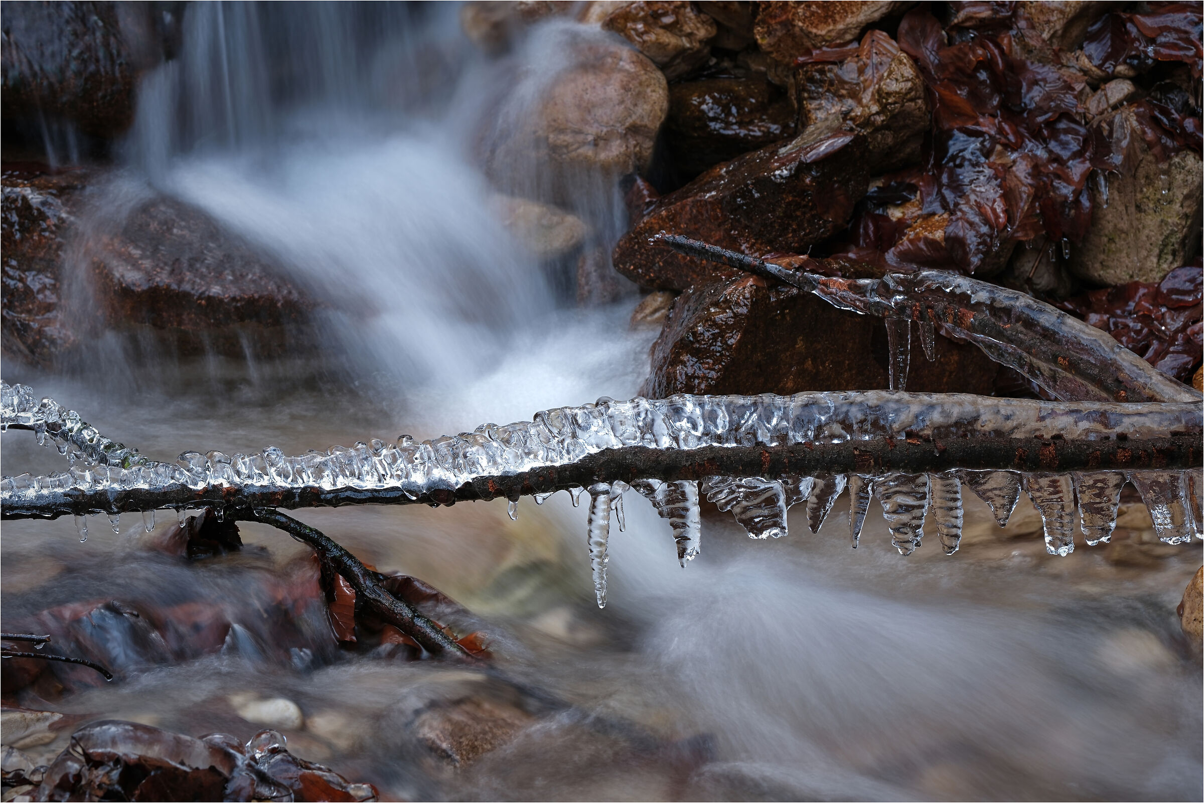 -freezes on the river-