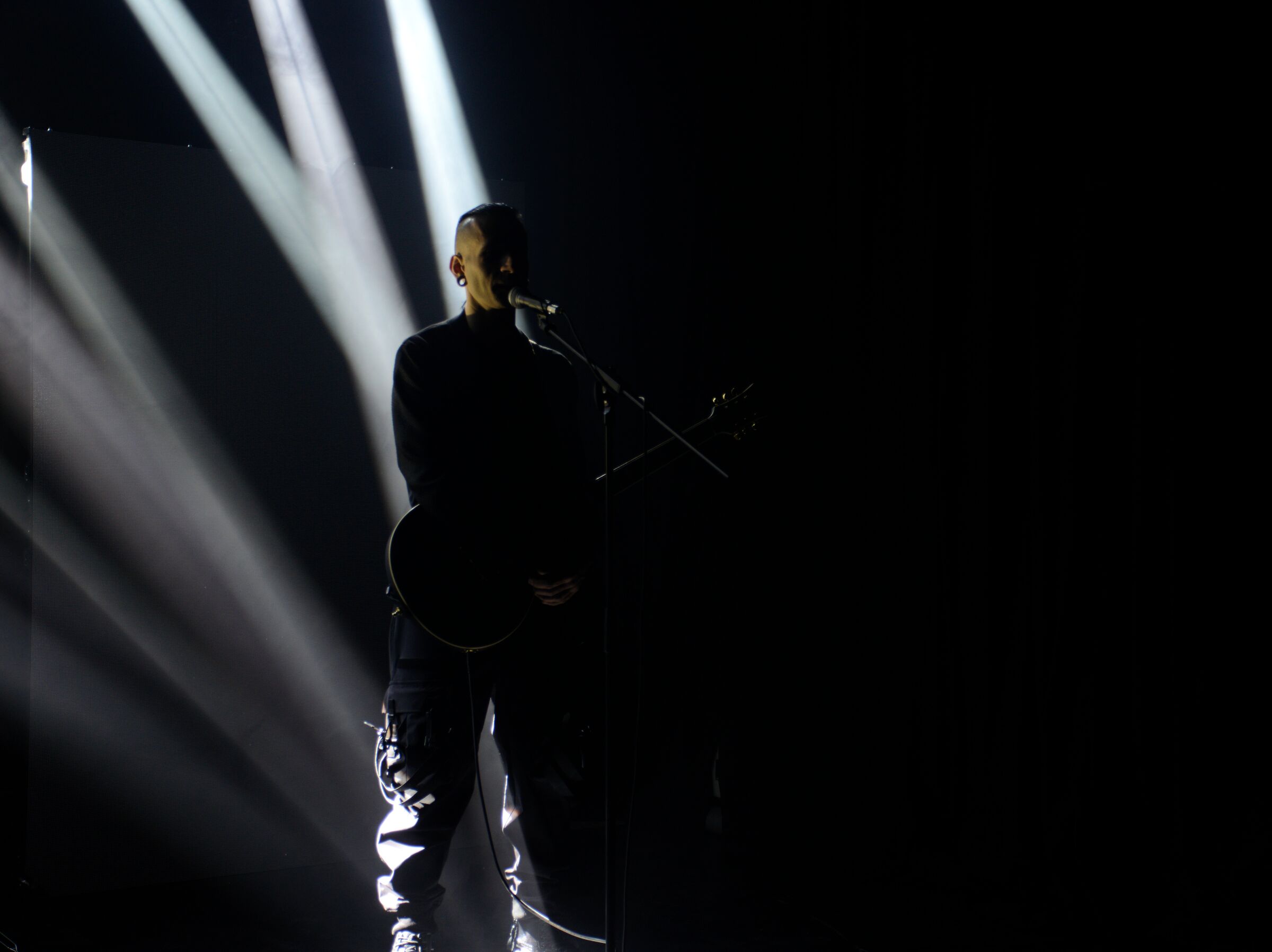 Singer
