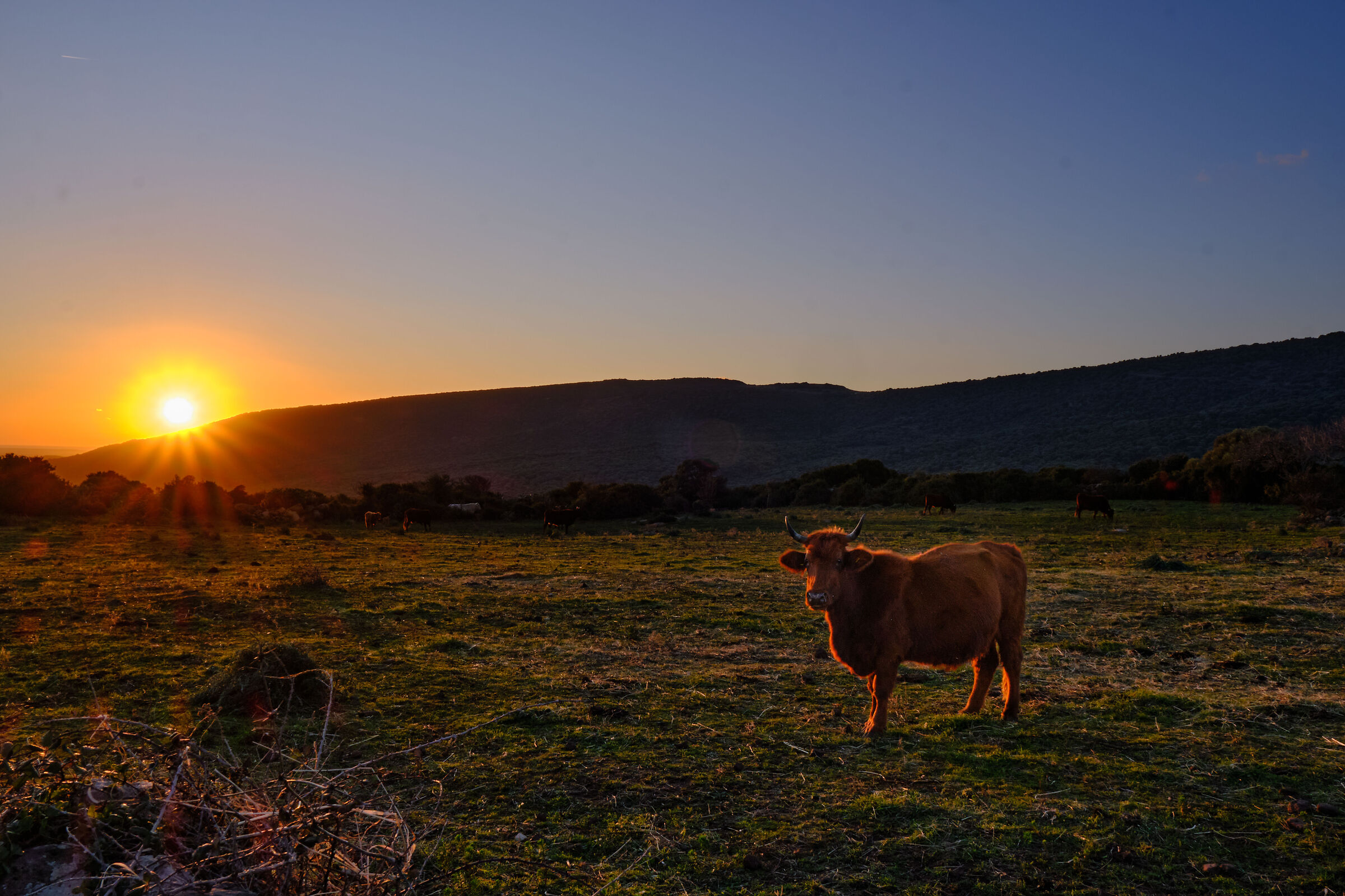 Winter Sardinia