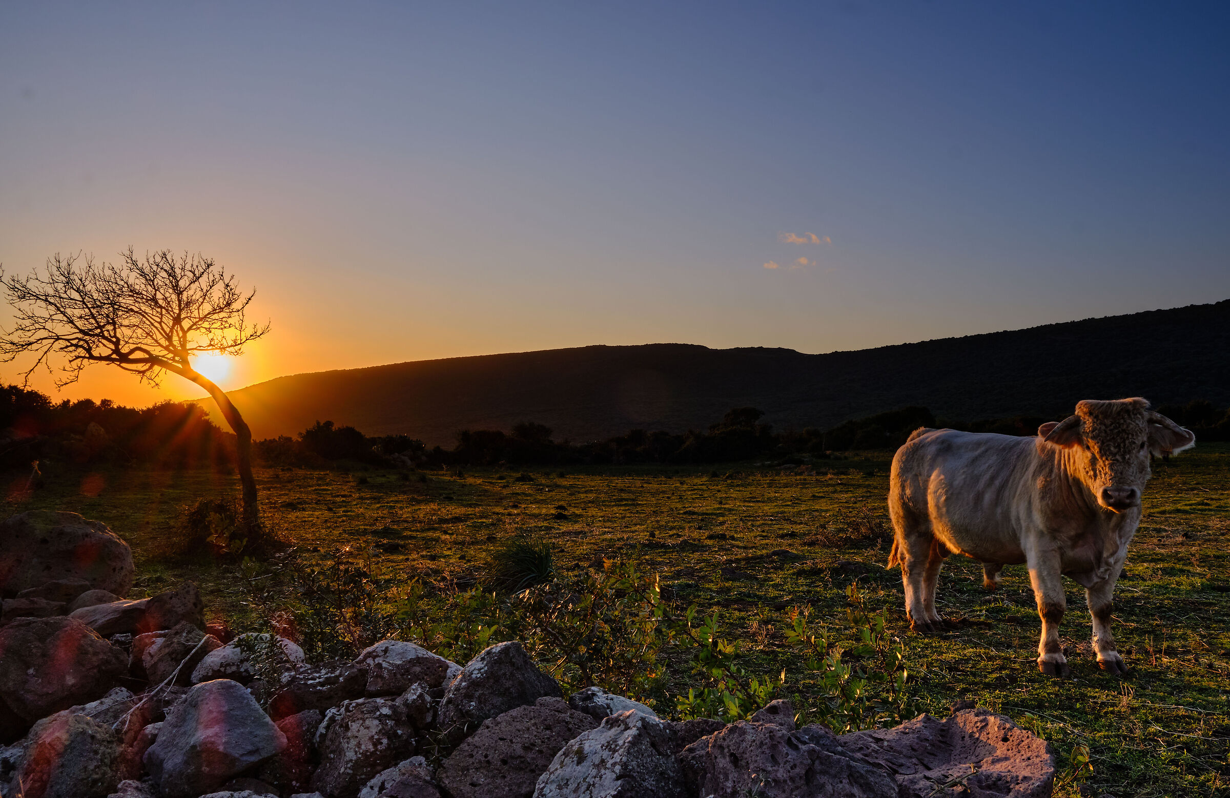 Winter Sardinia