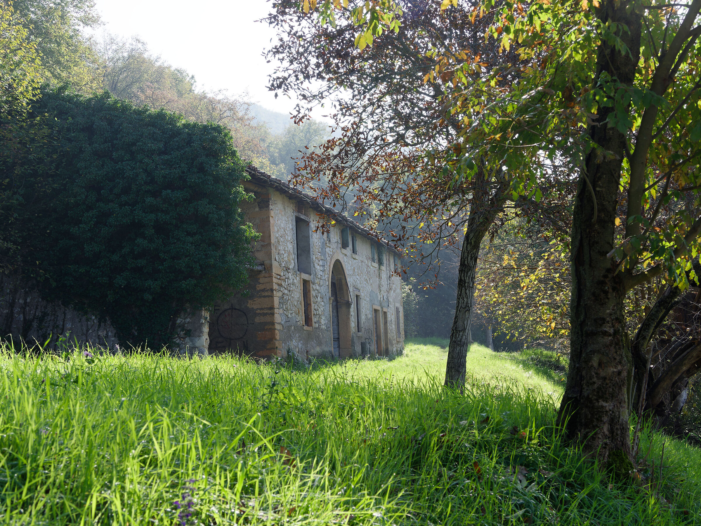 Abandoned hillside cottage