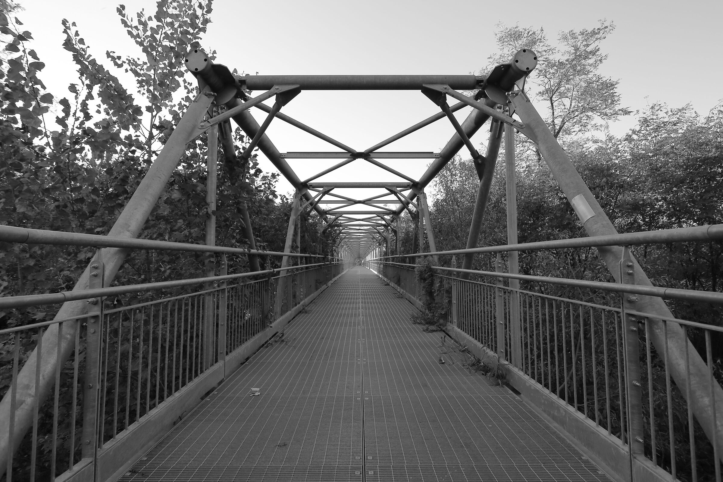 Bridge