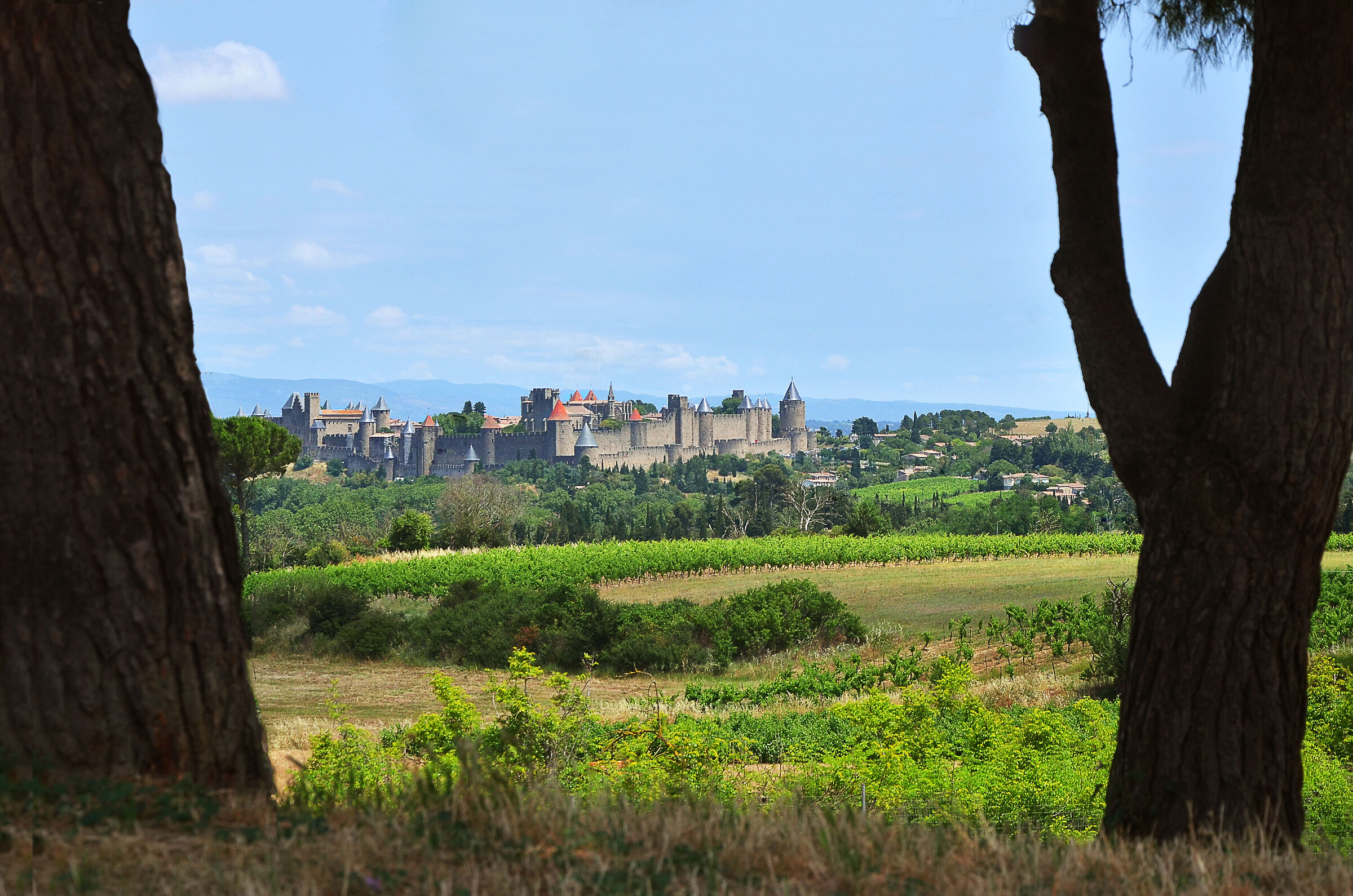 vista su Carcassonne