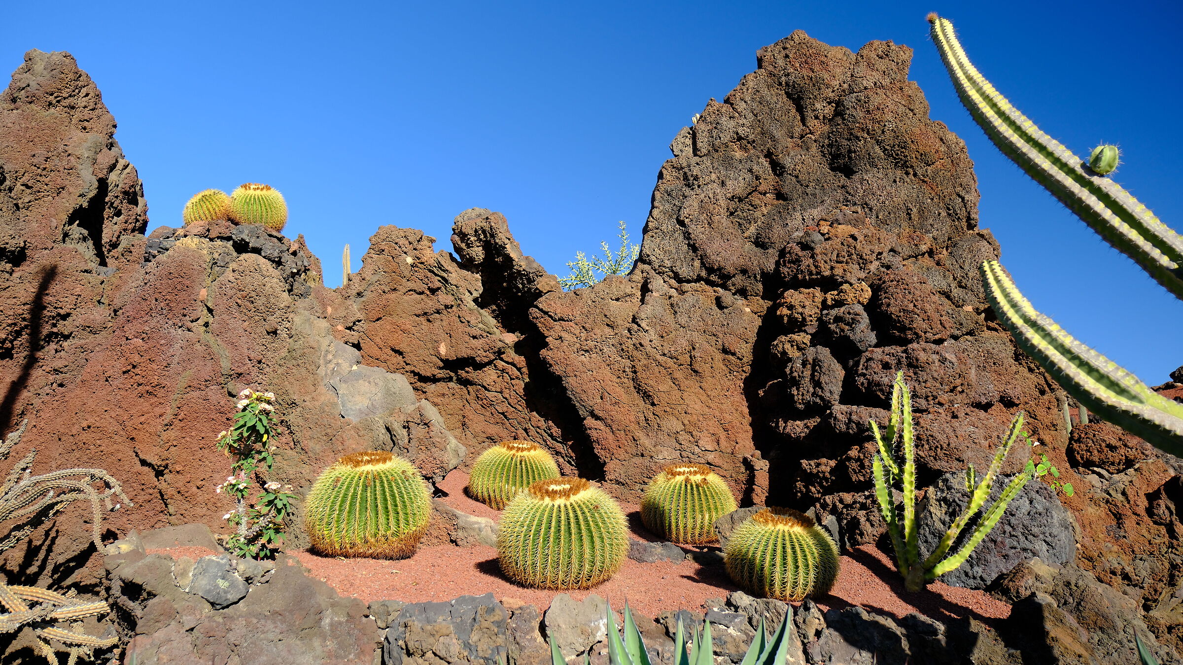 Lanzarote