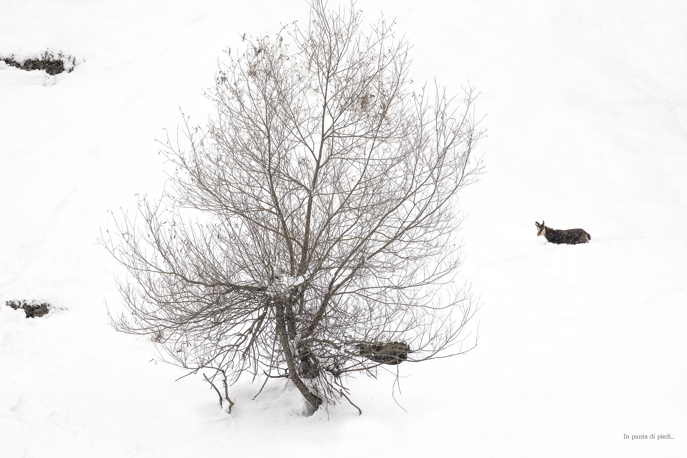 Just as a drawing - just like a drawing...