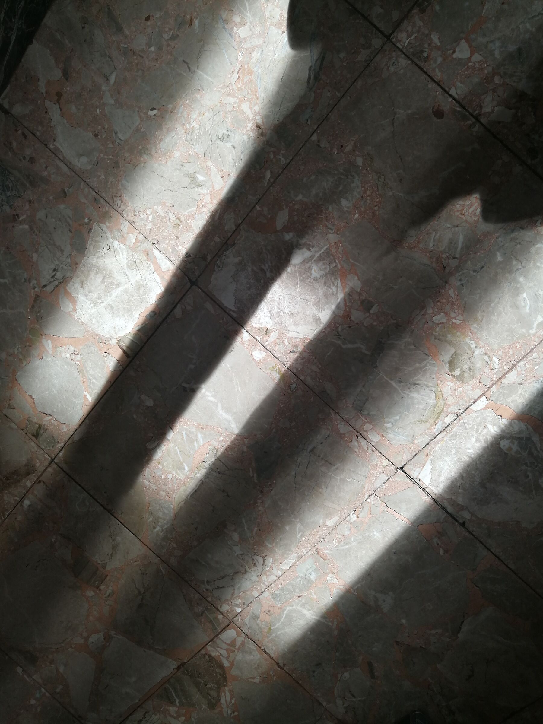 Untitled Photo