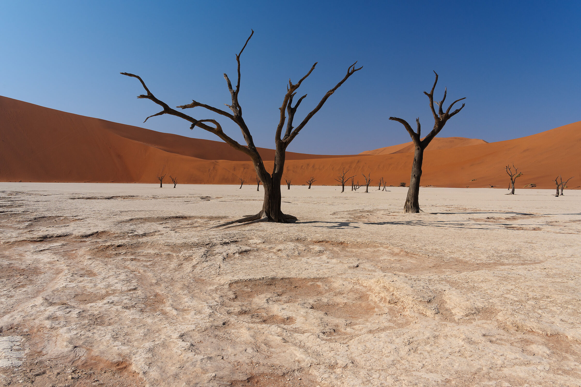 Deadvlei