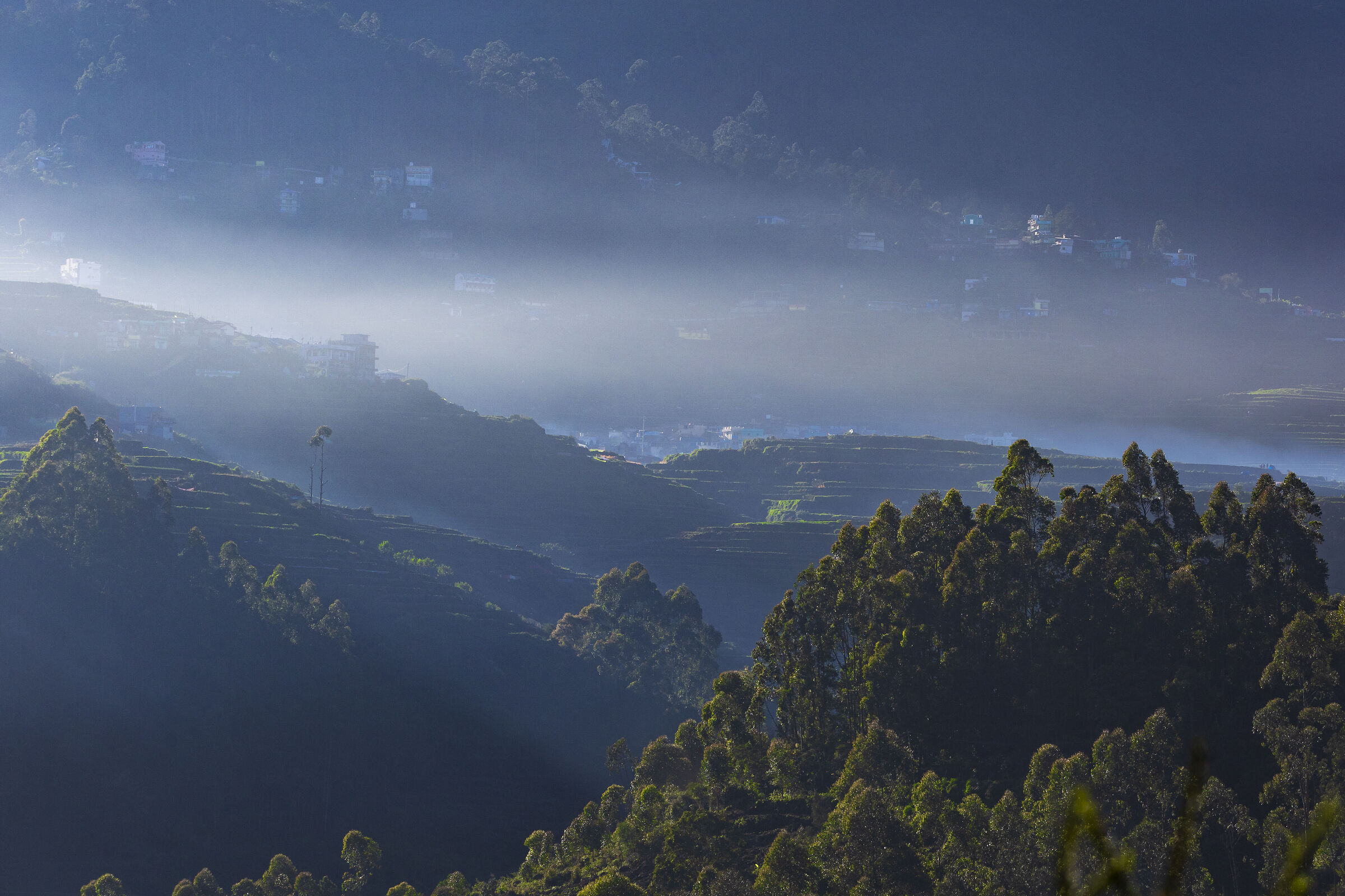 Colline di Kodai, Poombarai, Tamilnadu, India
