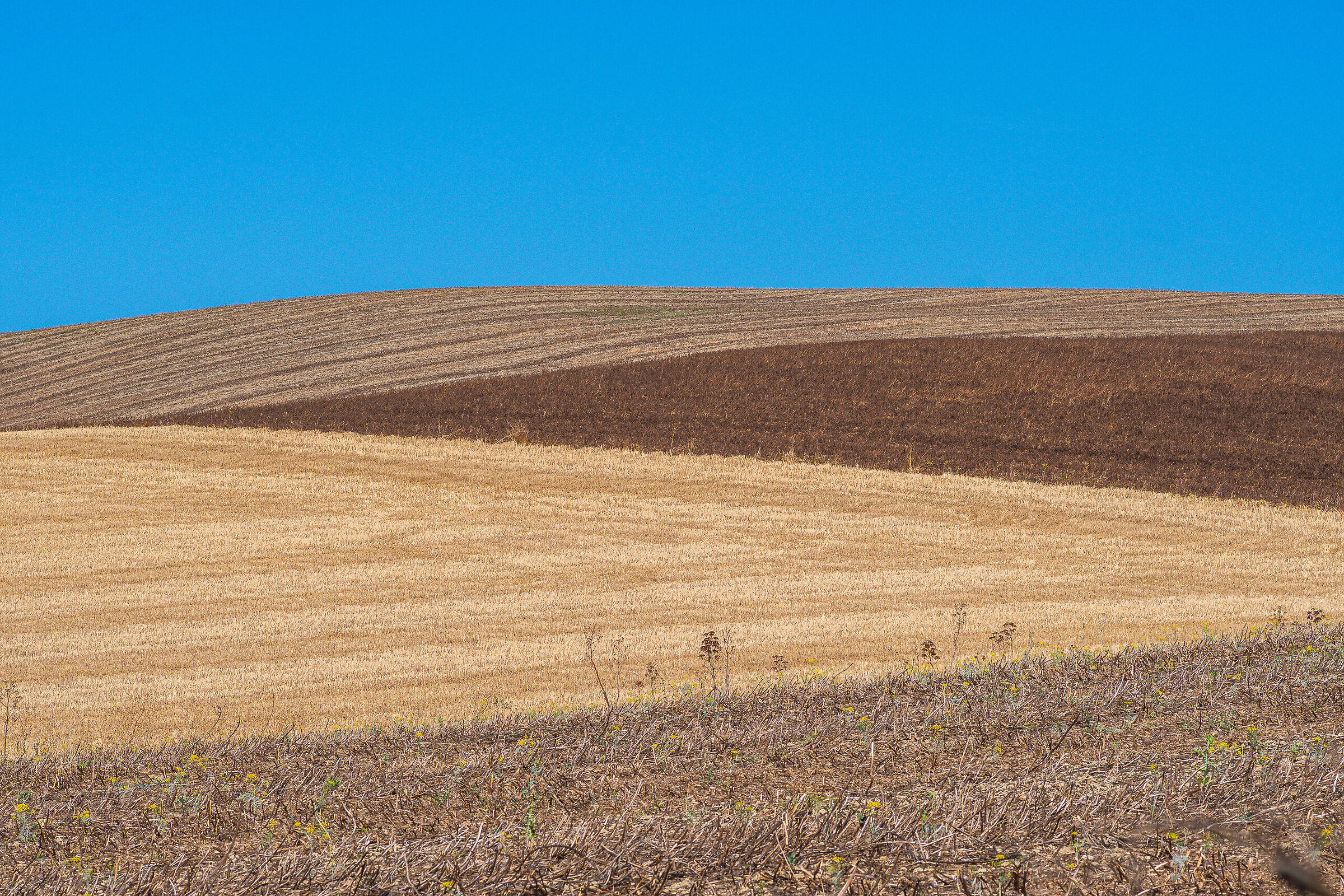 Countryside #4