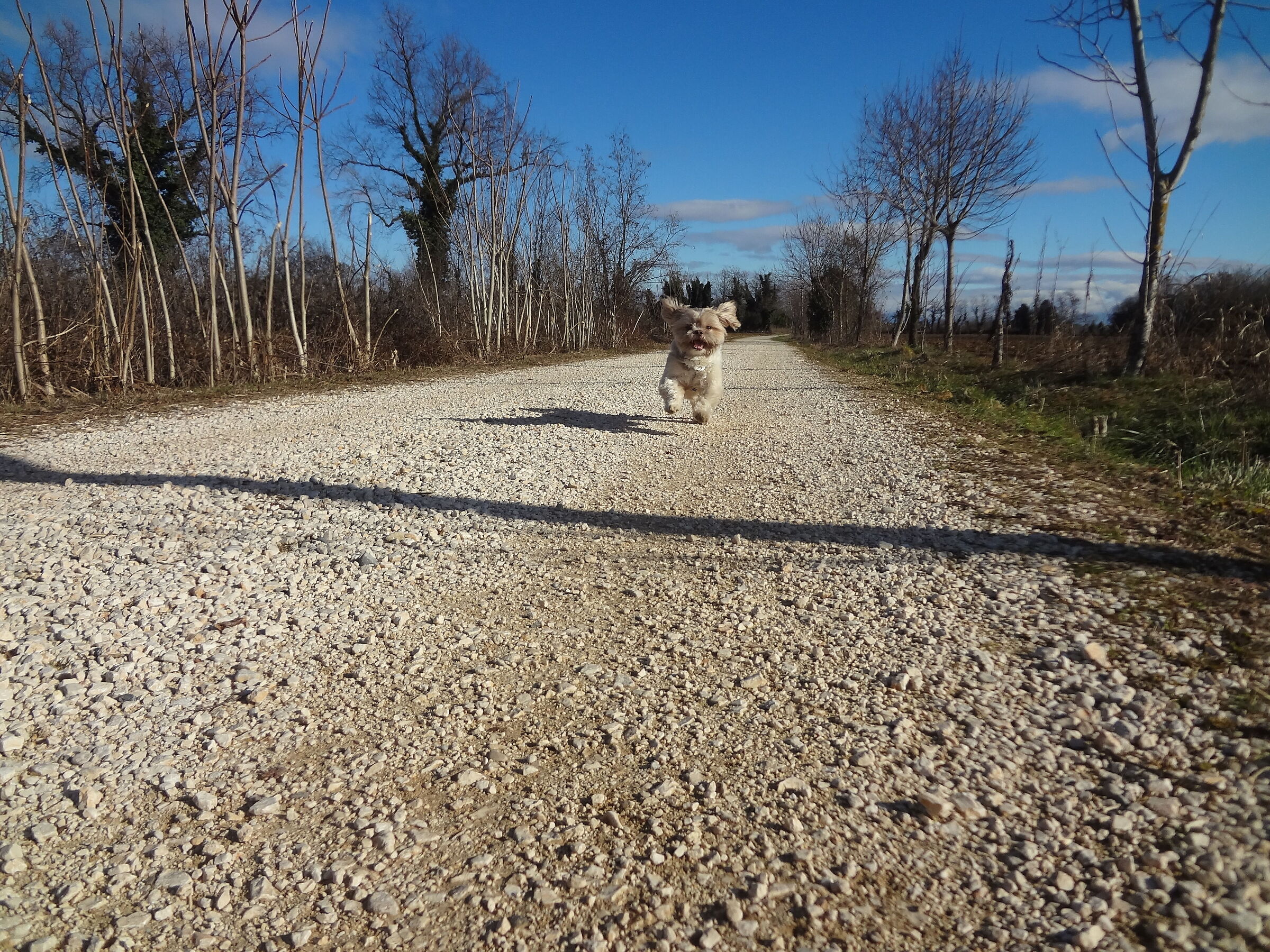 Belly on the ground..... Happy