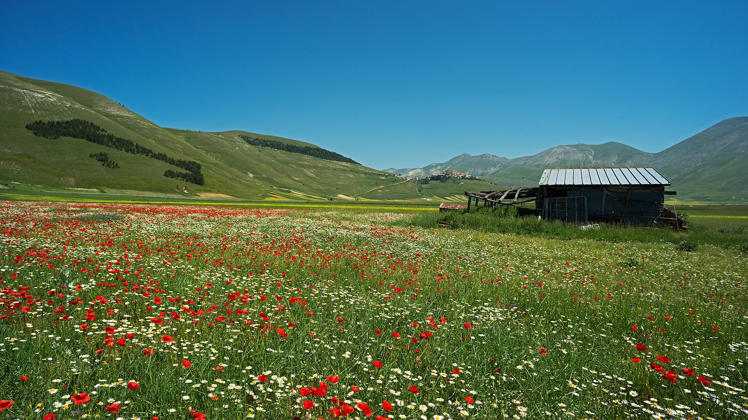 Castelluccio 2013