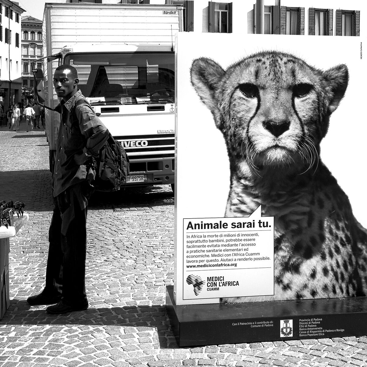 Animal will be you...