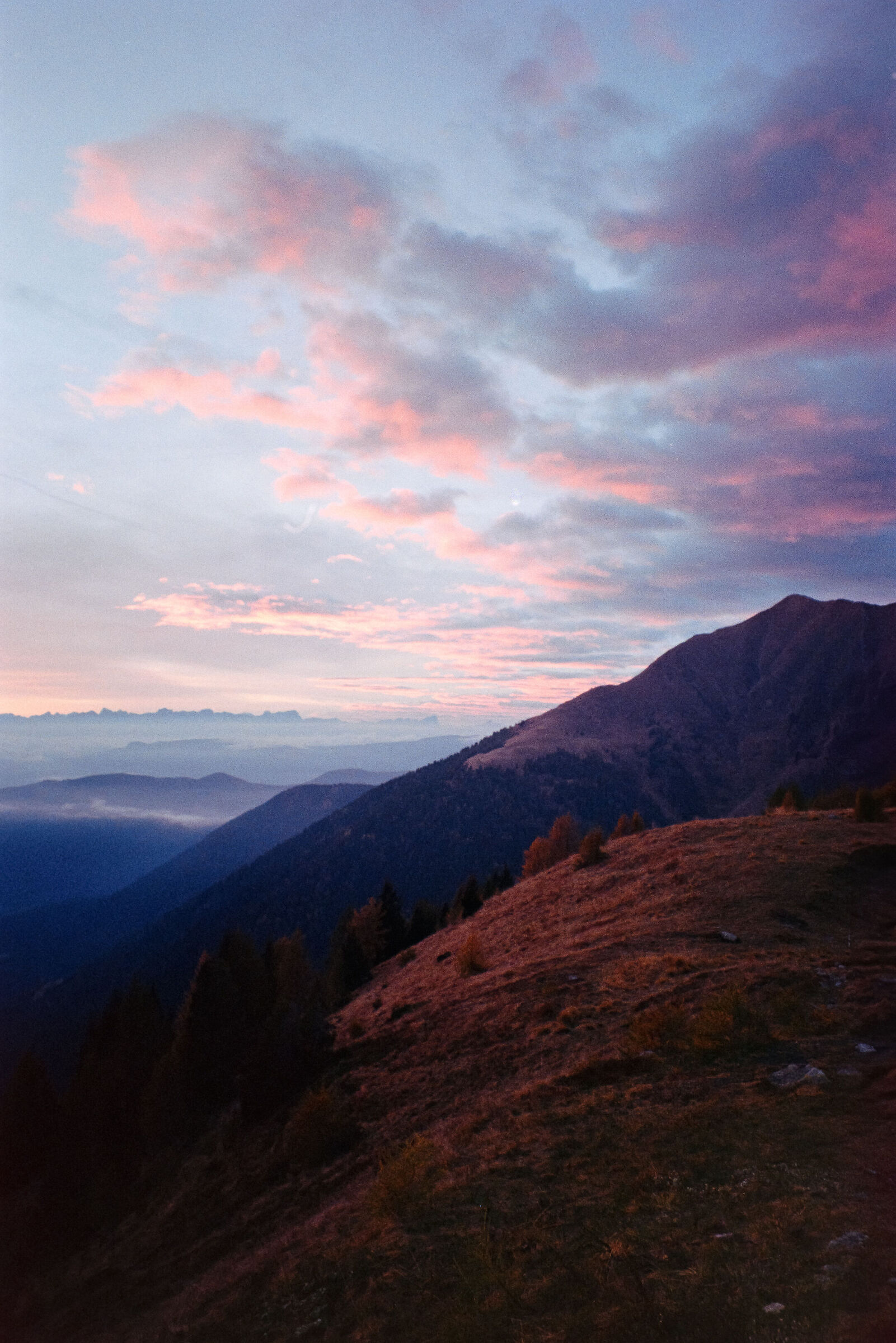 Untitled Photo