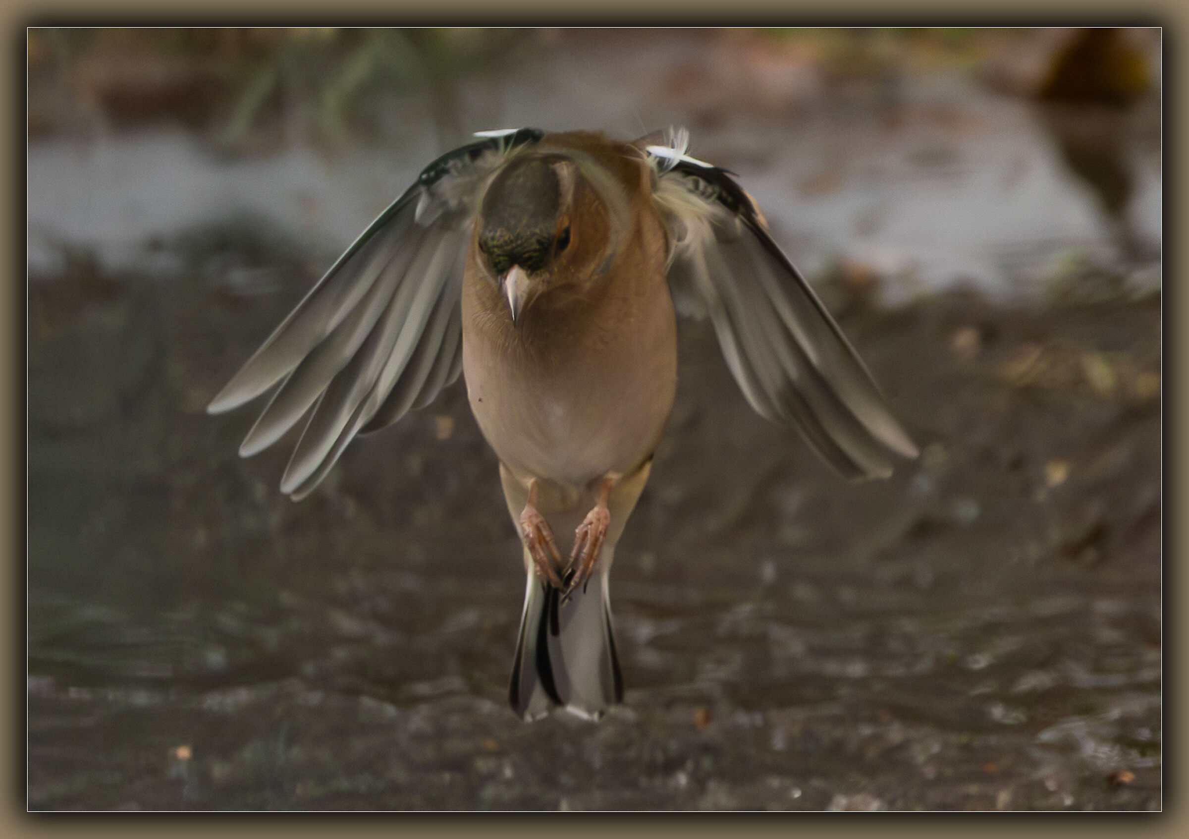 Today I feel stretched out....