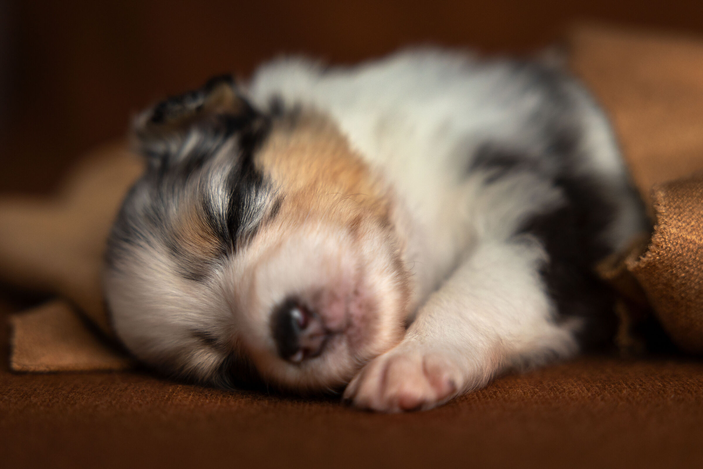 Un newborn un po' differente