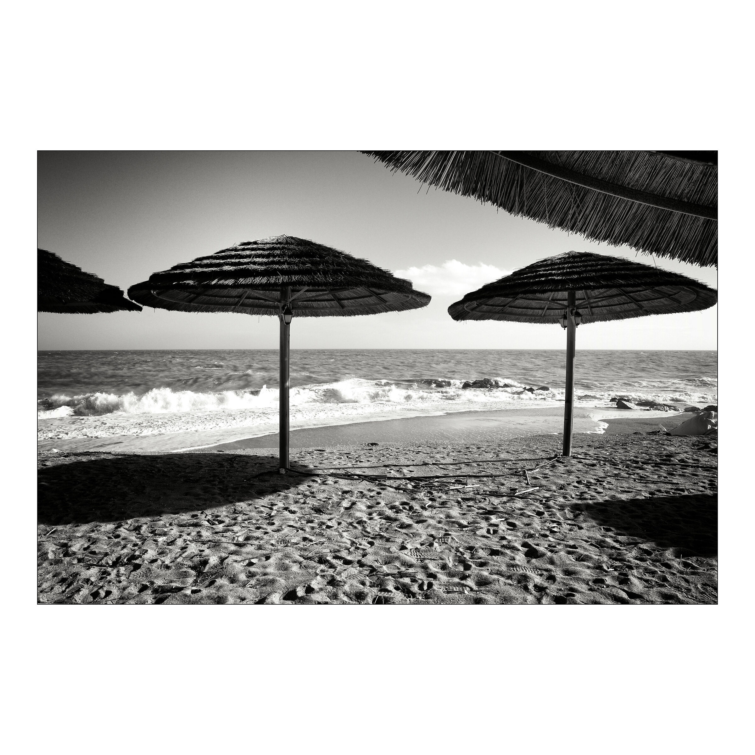 Porto Recanati, 2024
