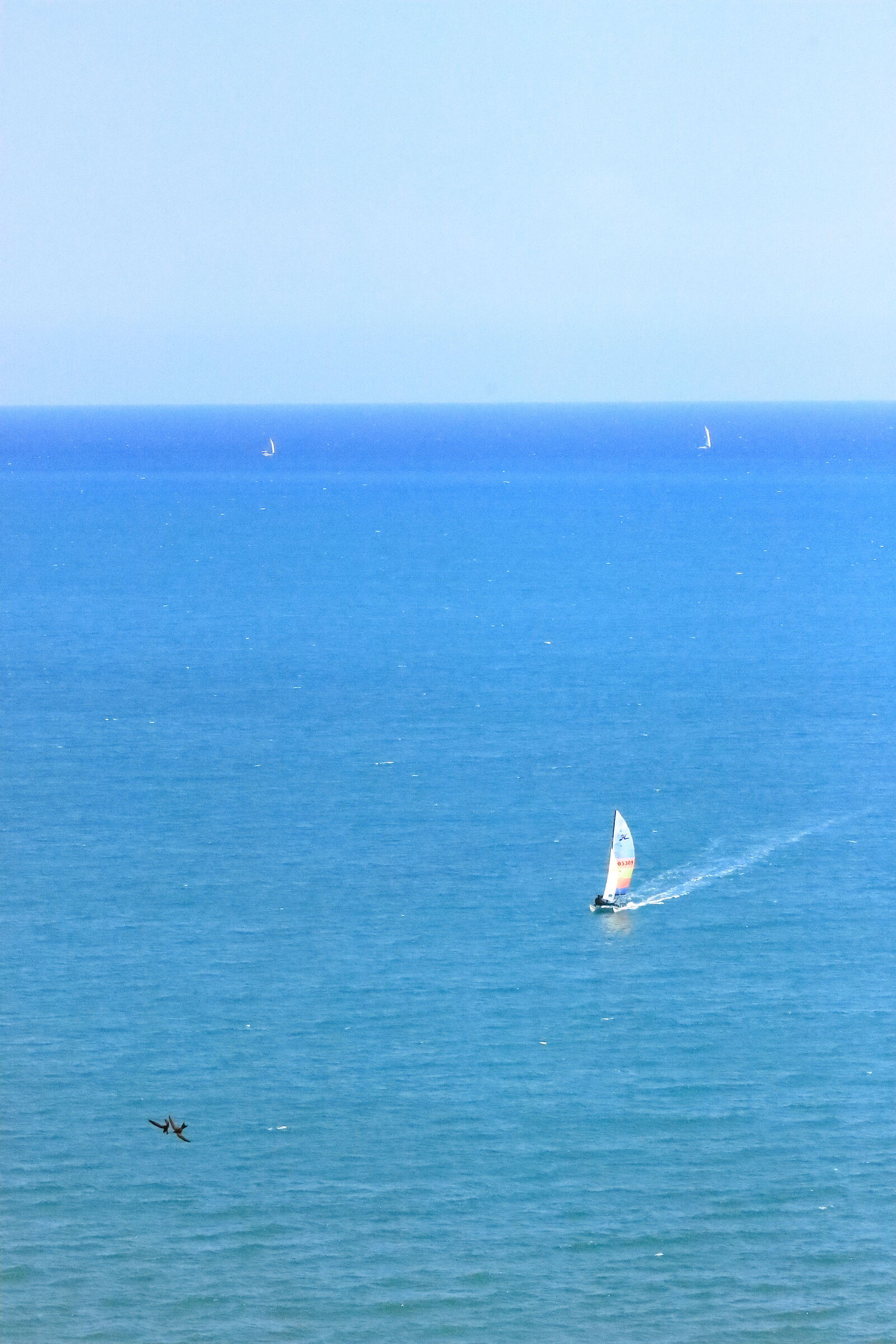 Sailing in Vieste