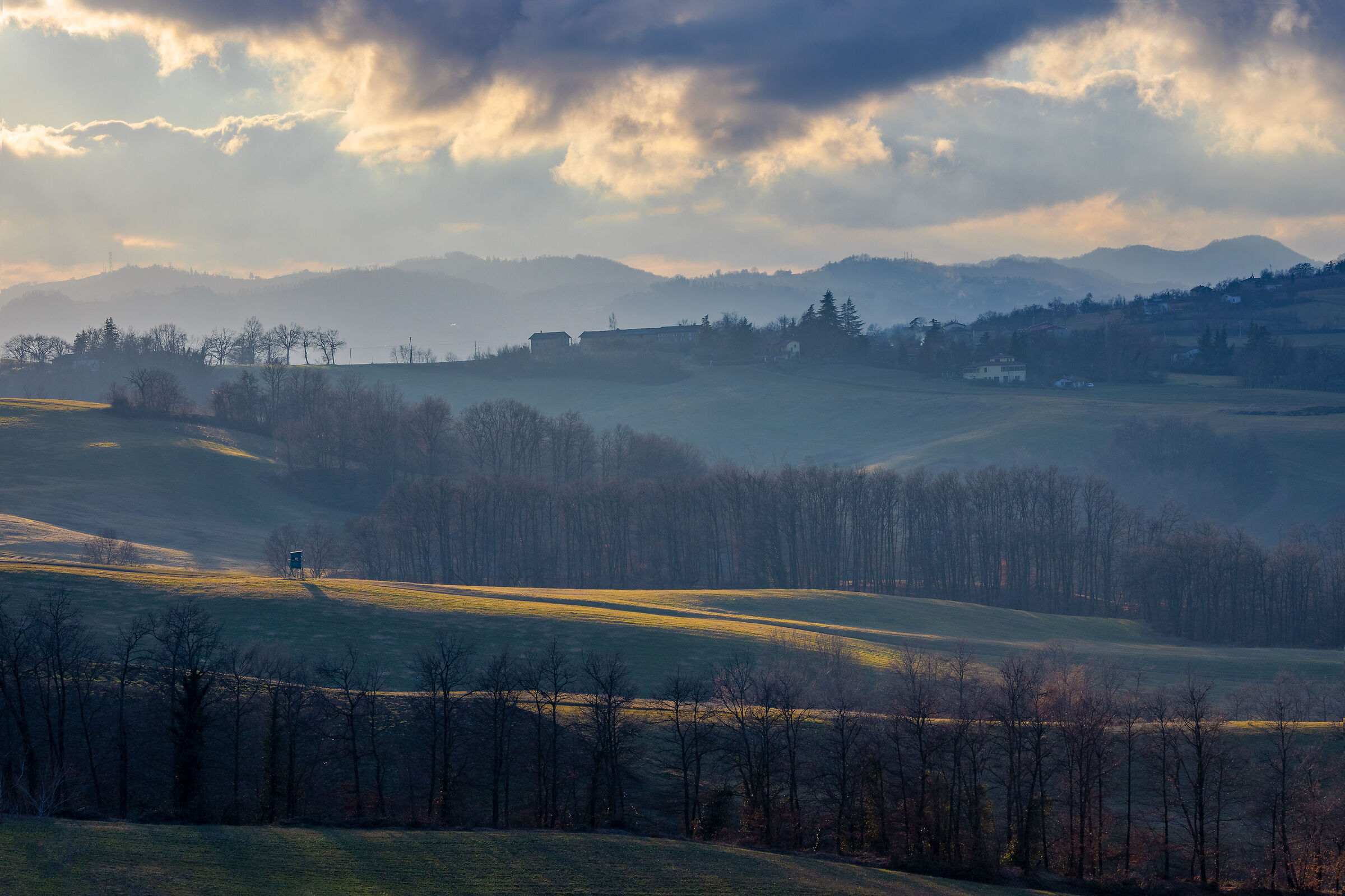 Waiting for the evening