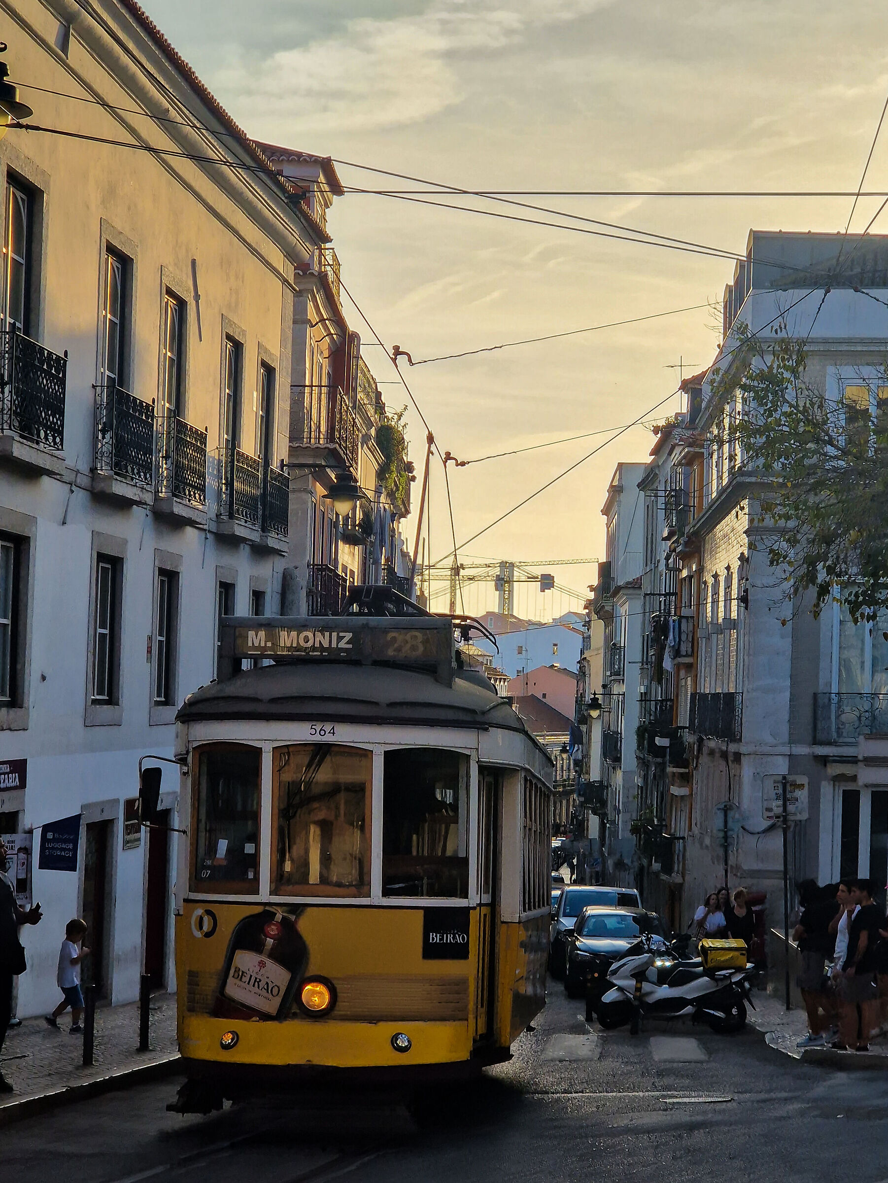 Tram
