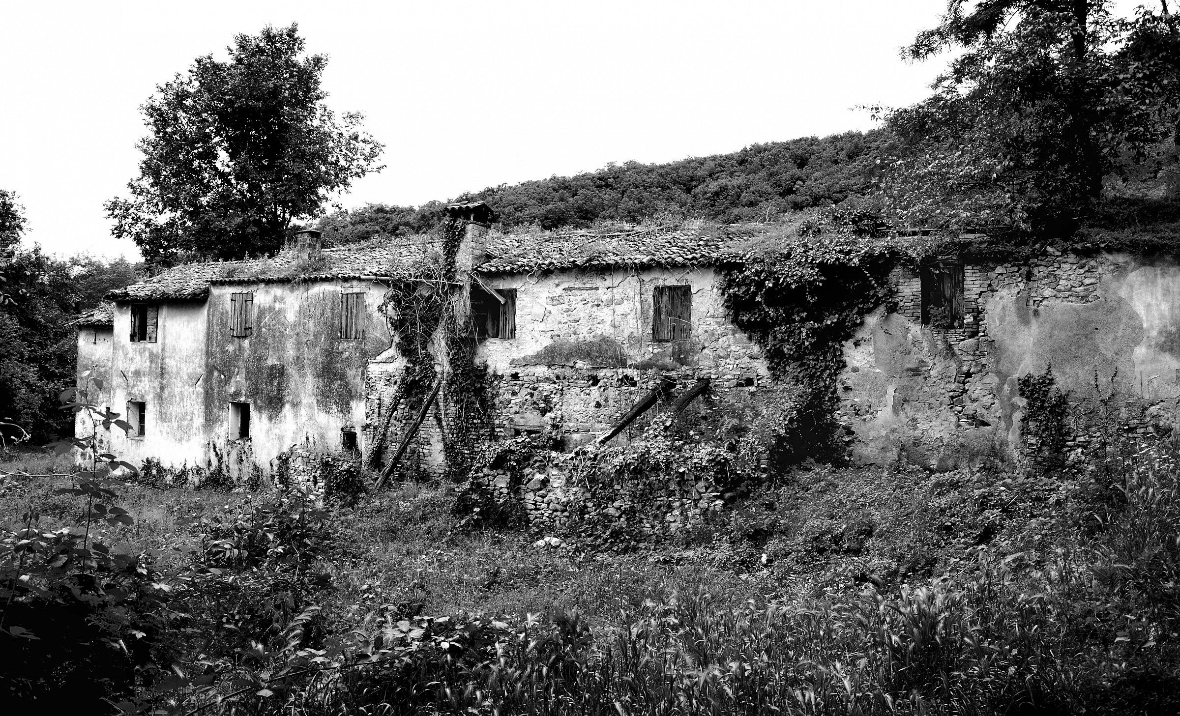 Colli Euganei - Ruderi B/N