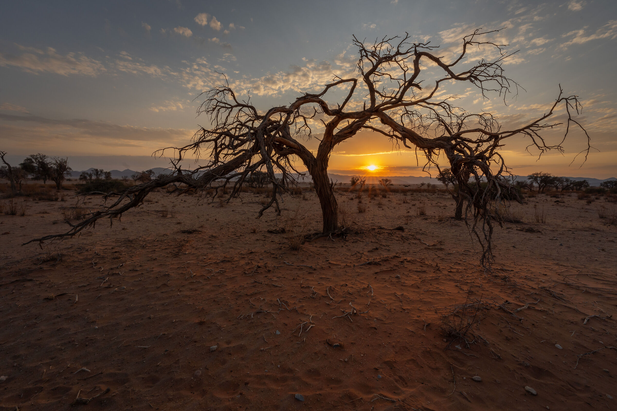 Alba nel deserto del Namib