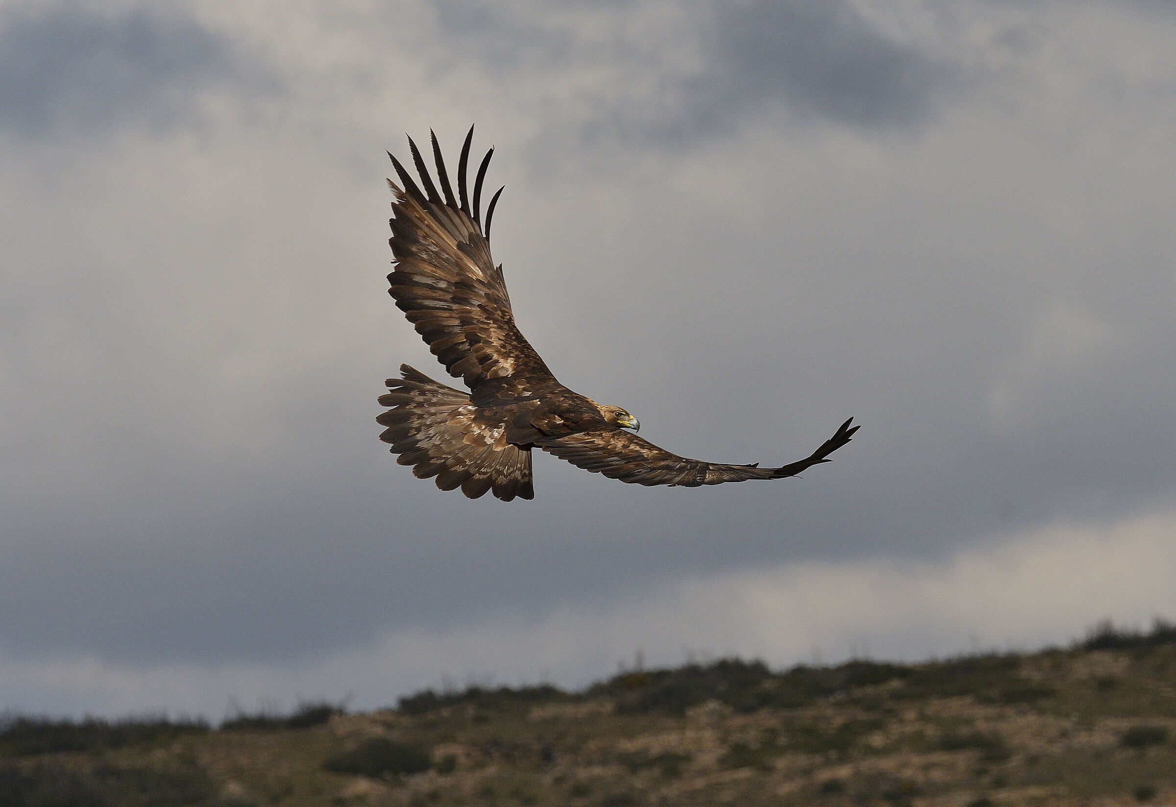 The Queen of Heaven...