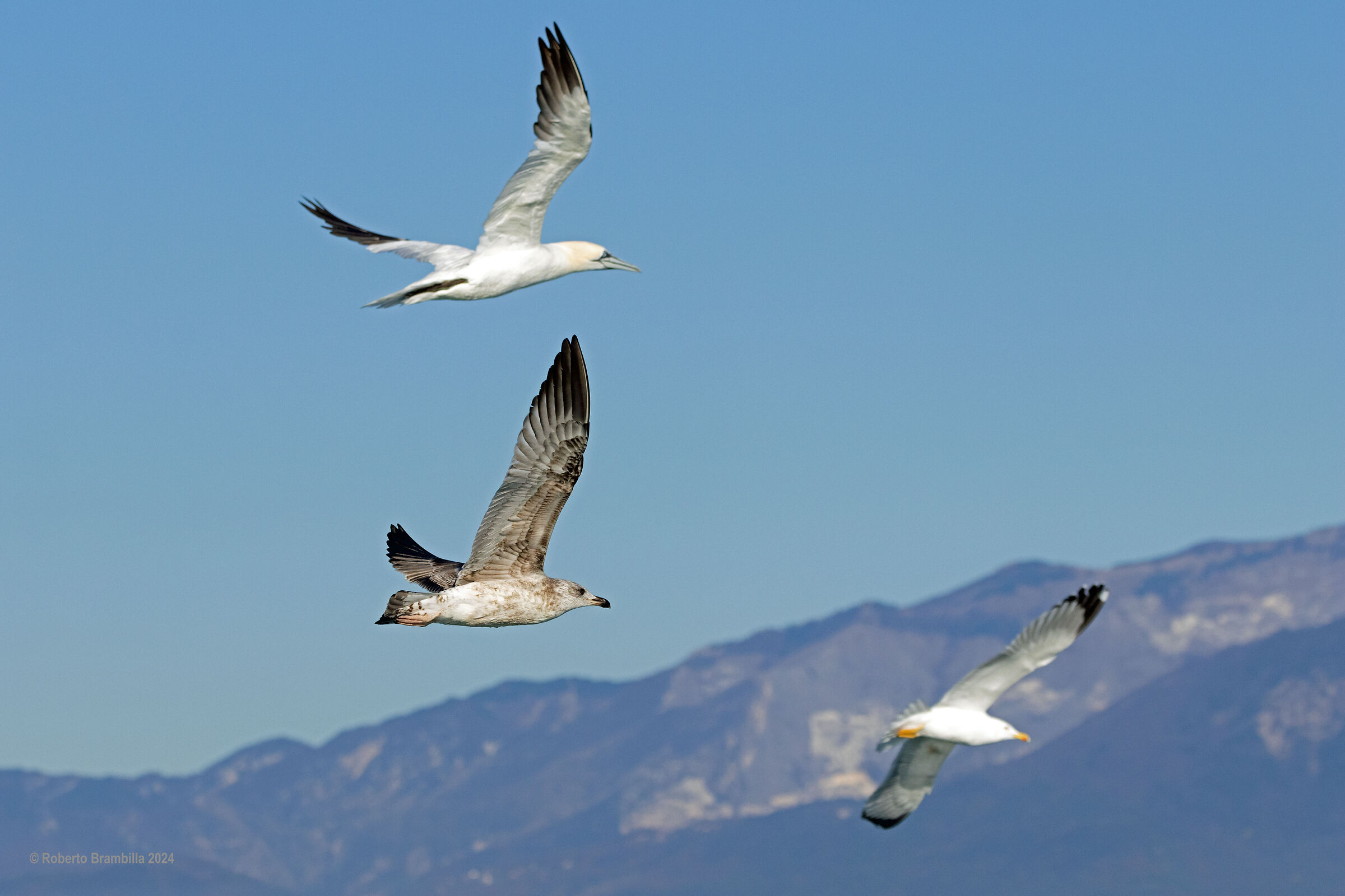On the Apuan Alps