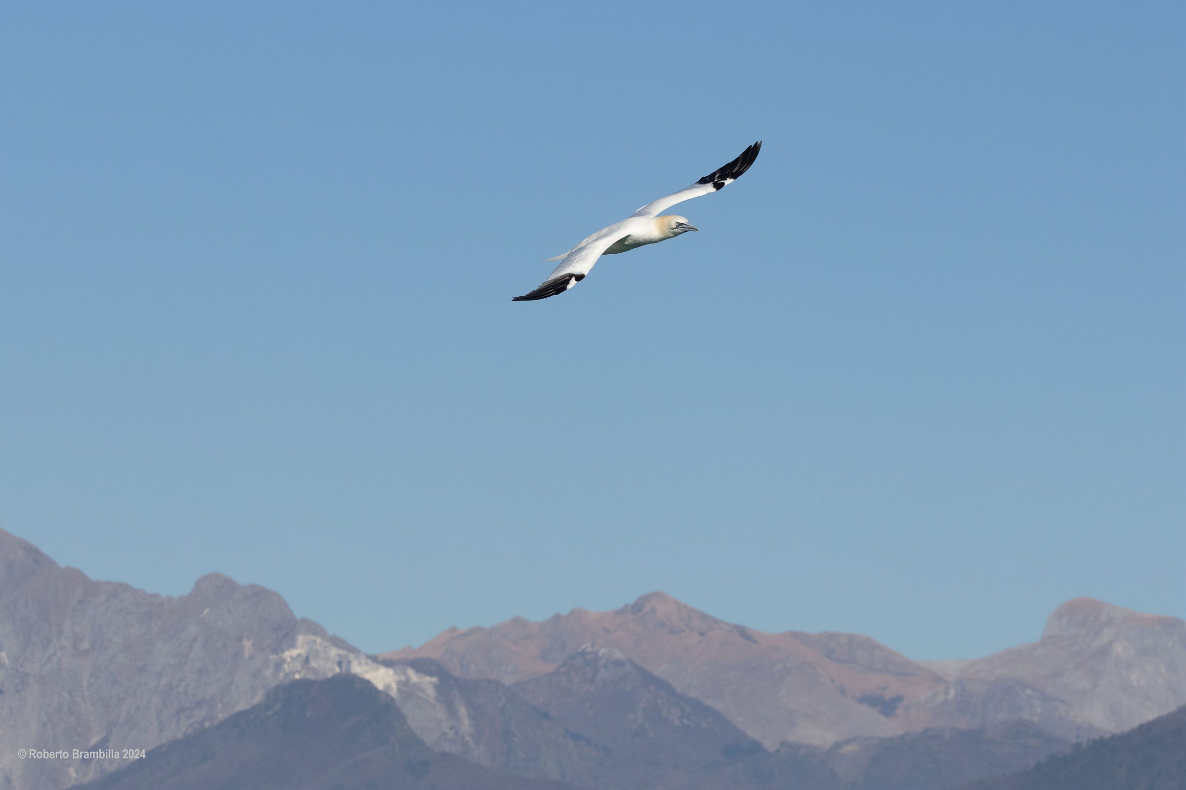 On the Apuan Alps