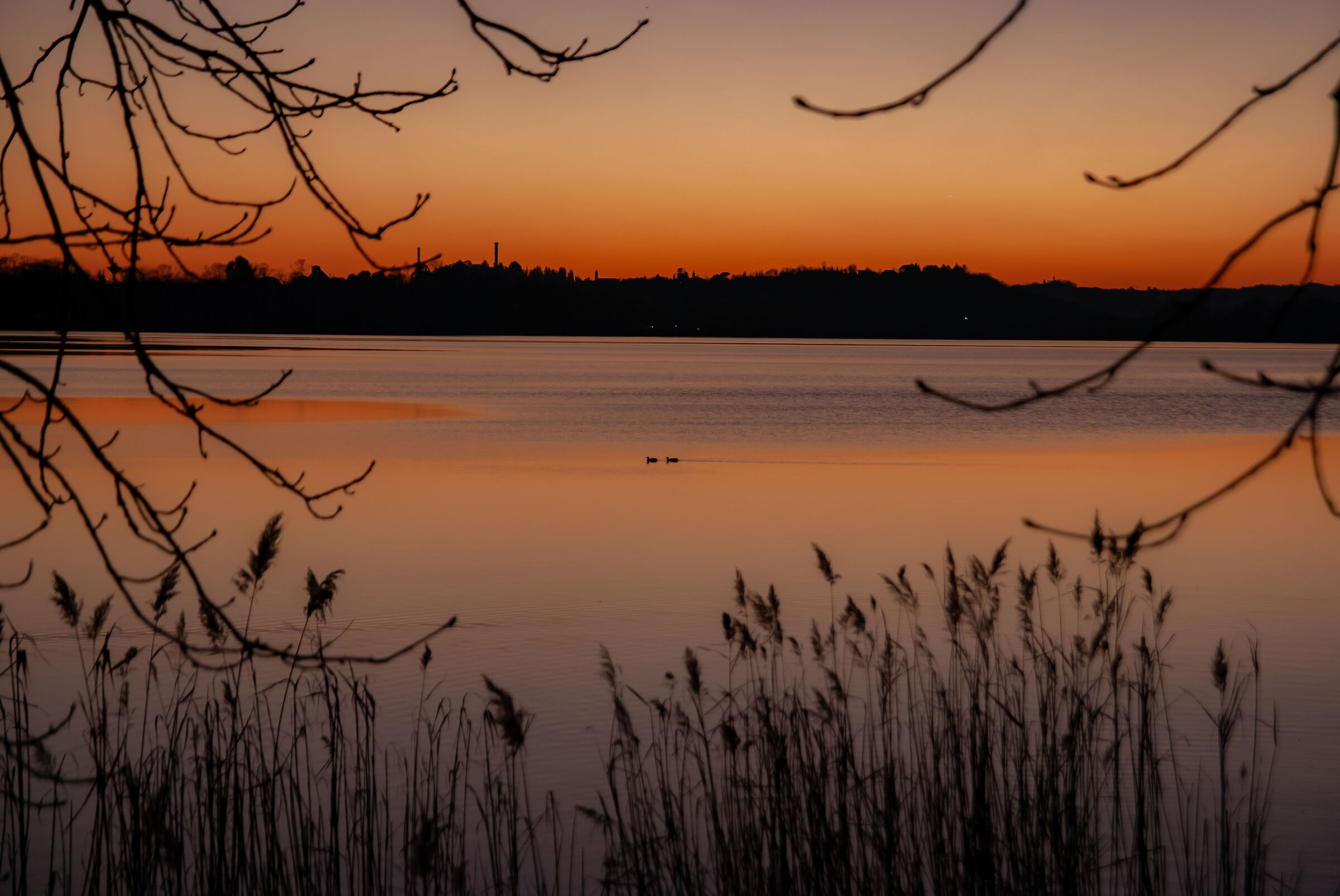 Tramonto e anatrelle