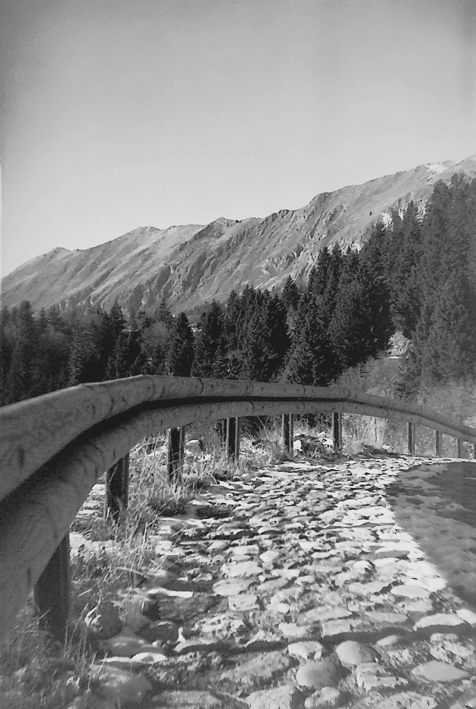 strada silvo pastorale