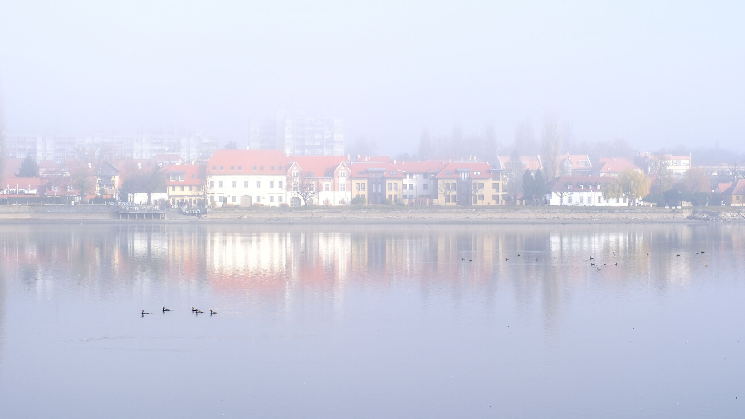 Città nella nebbia