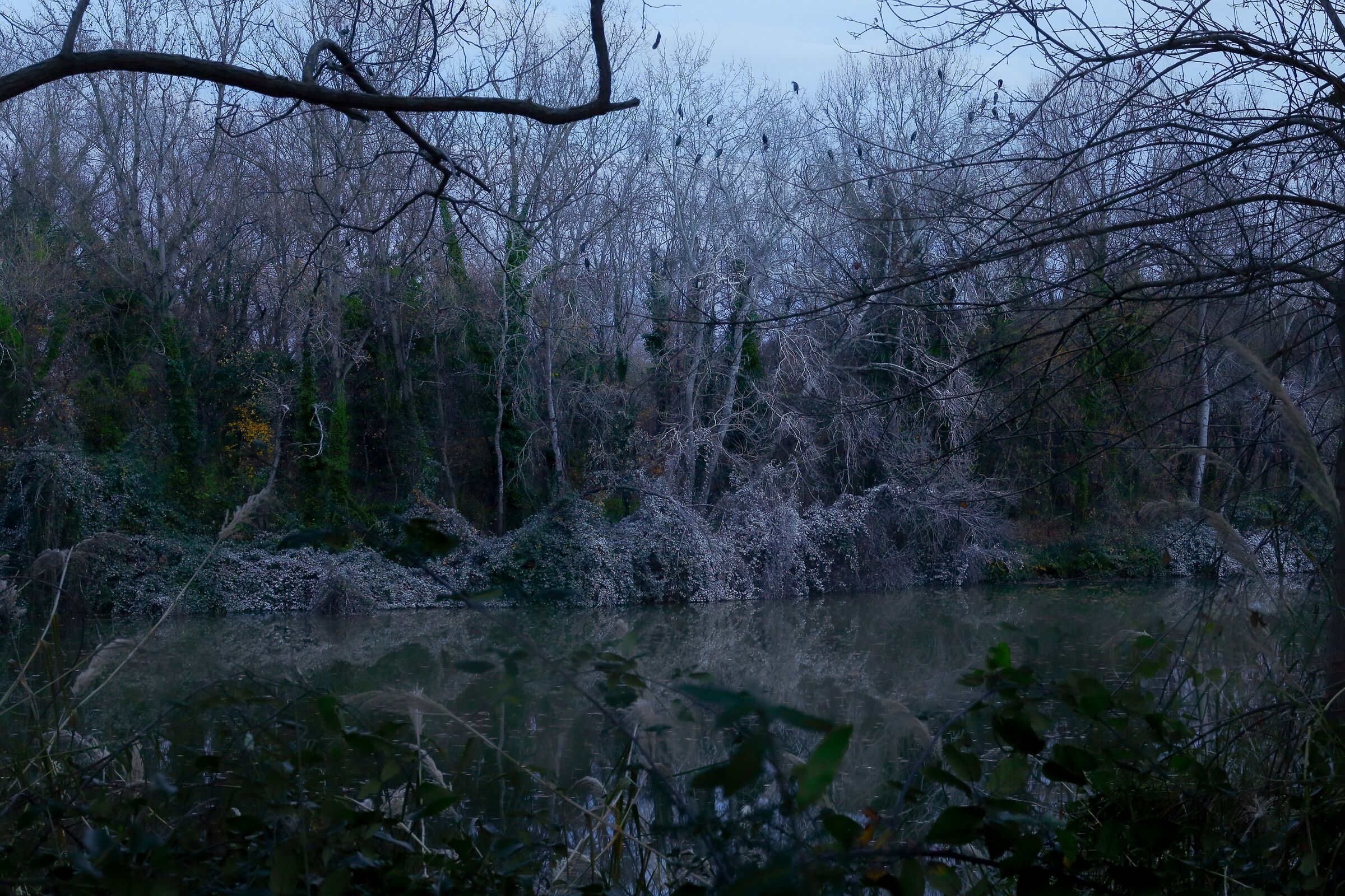 Lake in the dark