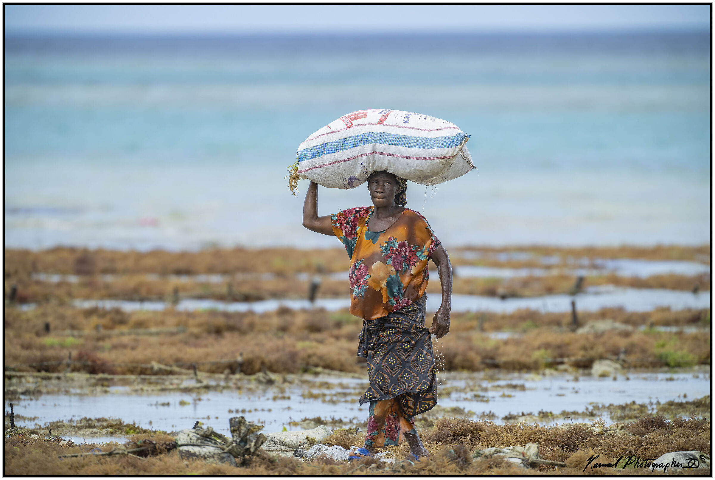 Seaweed Harvester (Zanzibar)