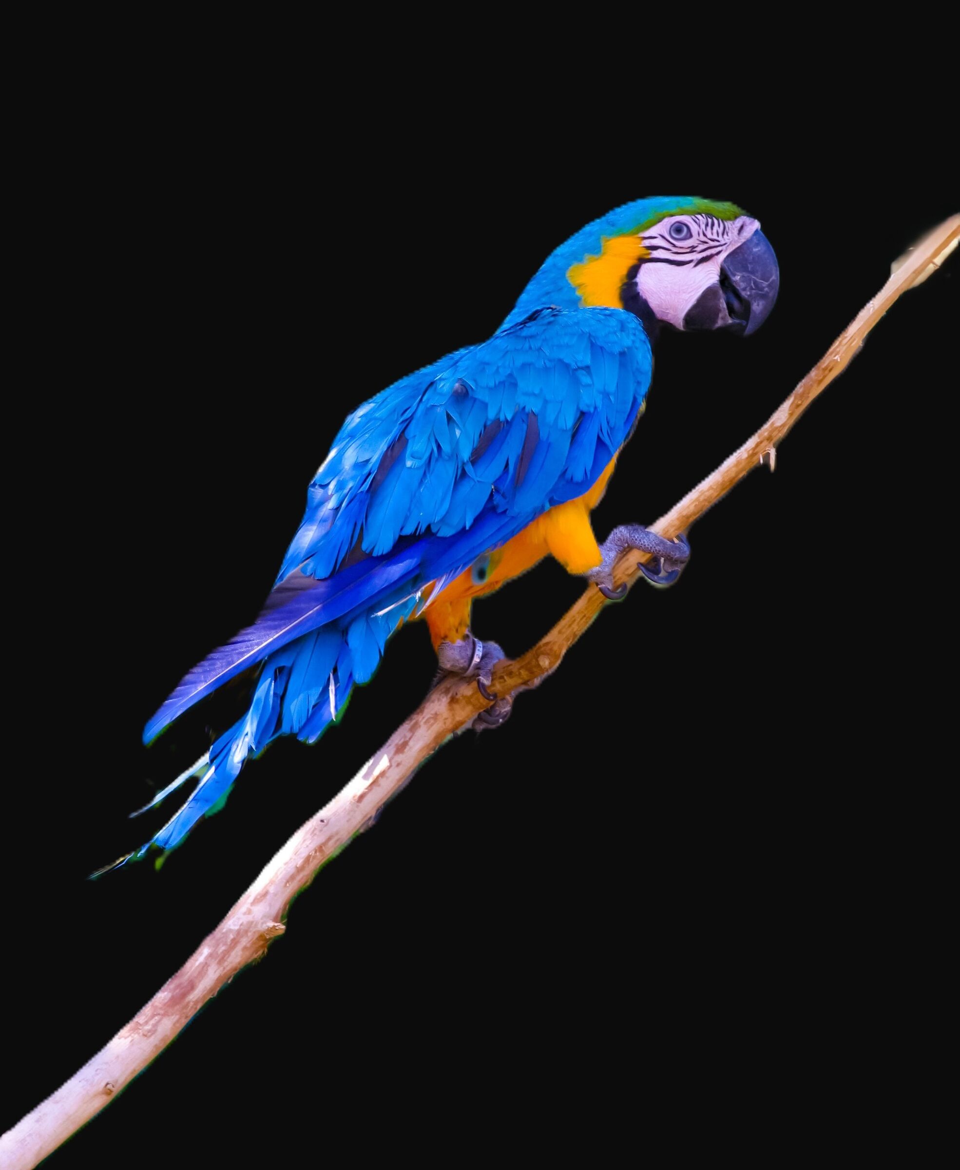 Loreto (not in the Marche)