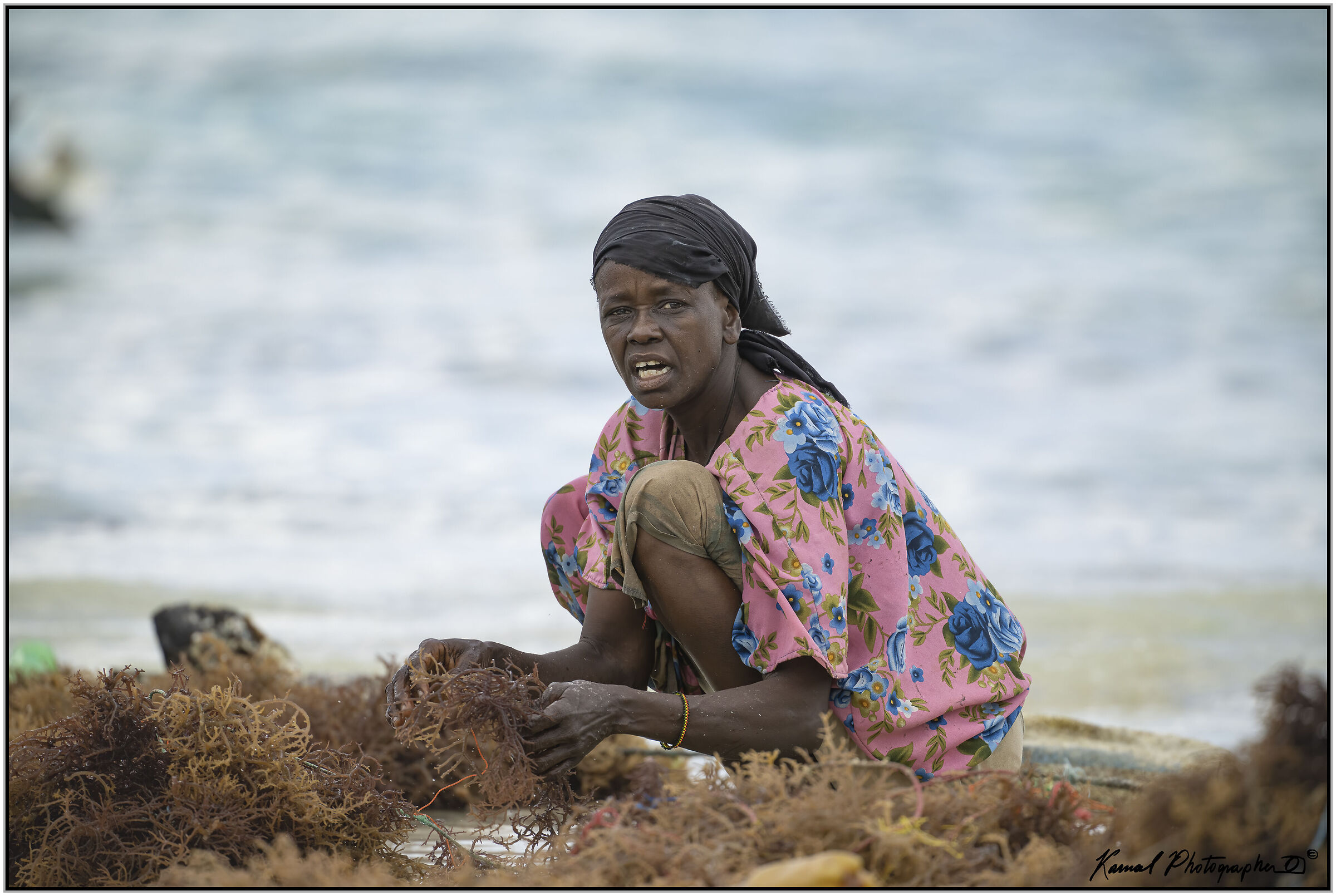 Seaweed Harvester (Zanzibar)