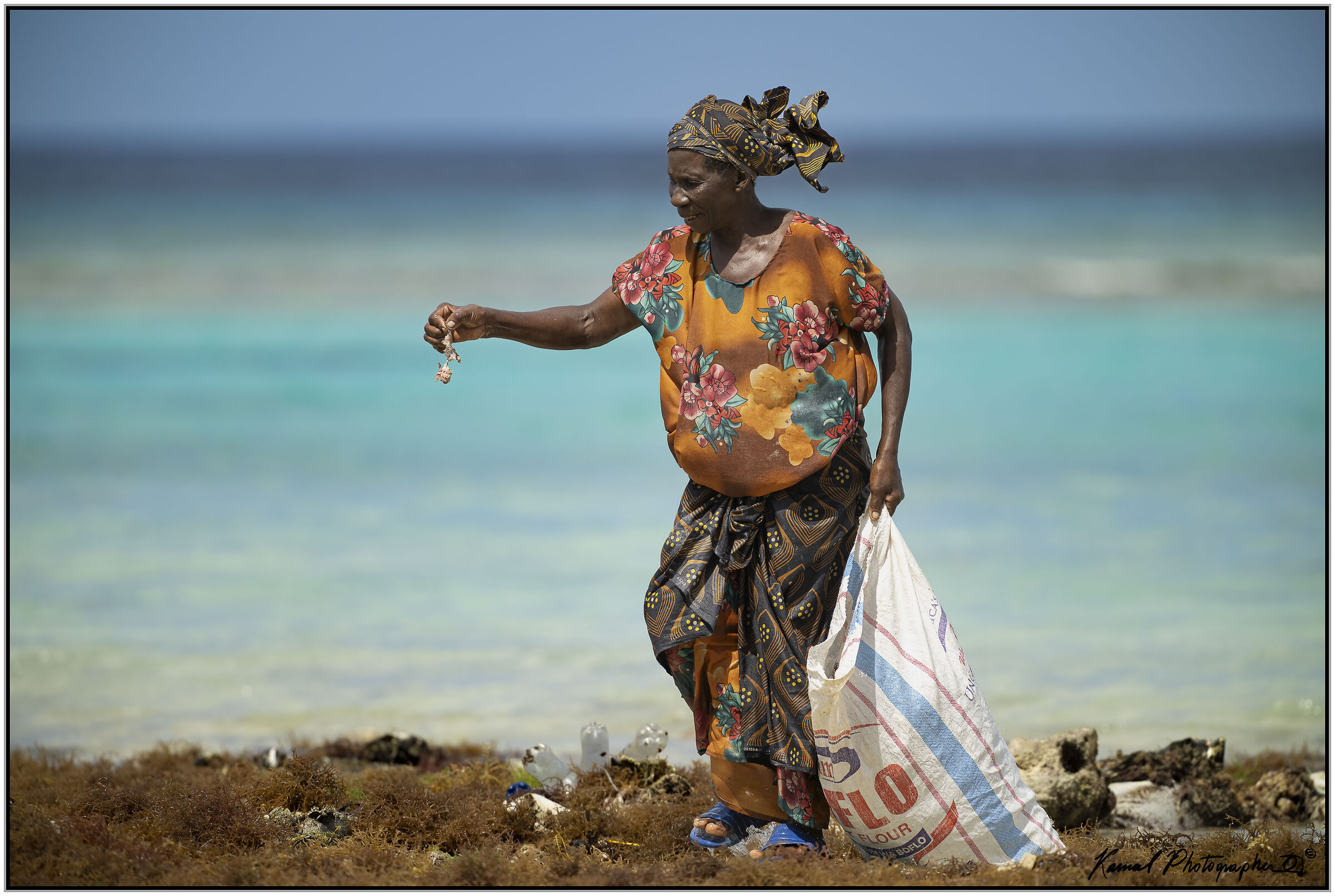 Seaweed Harvester (Zanzibar)