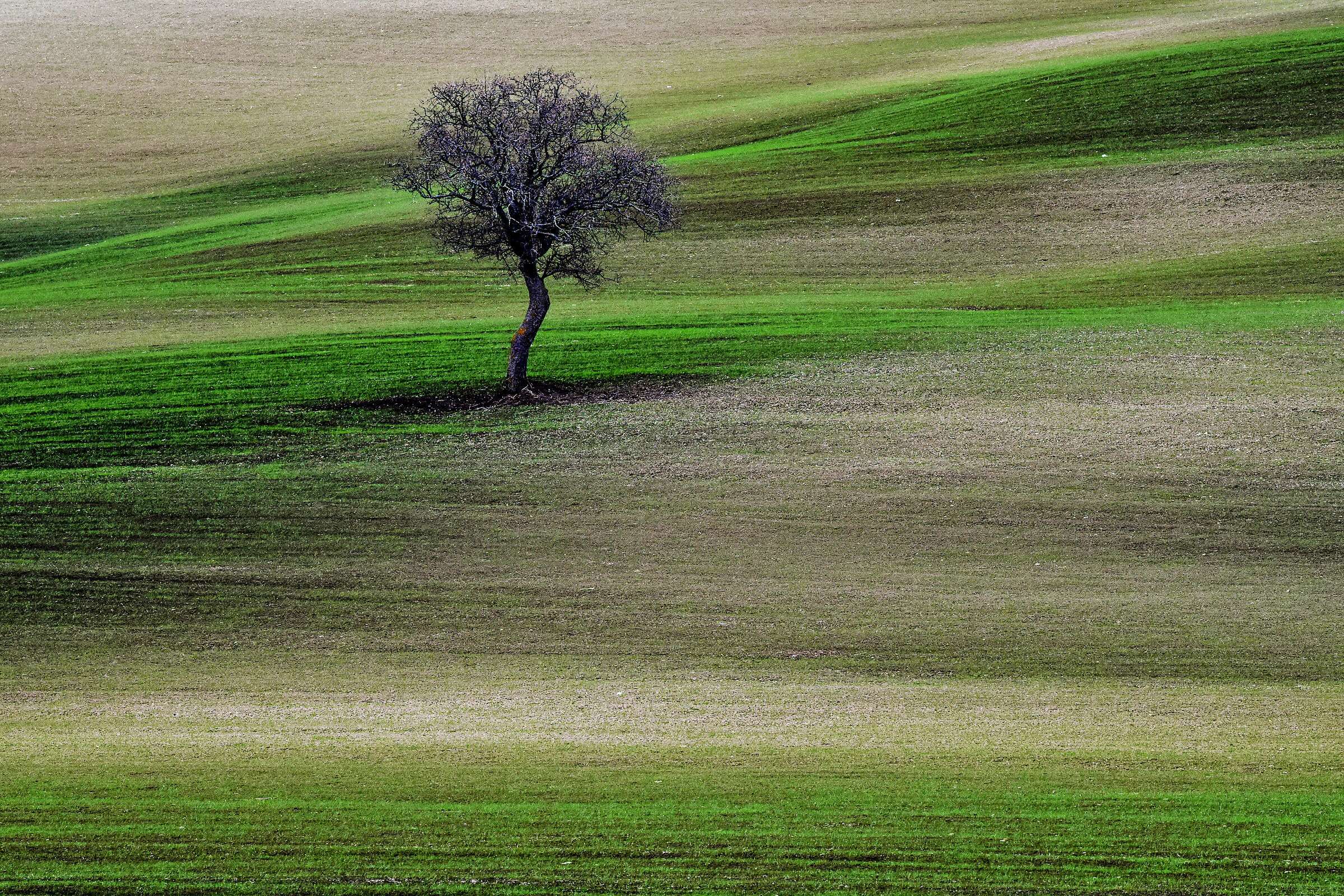 sfumature toscane.