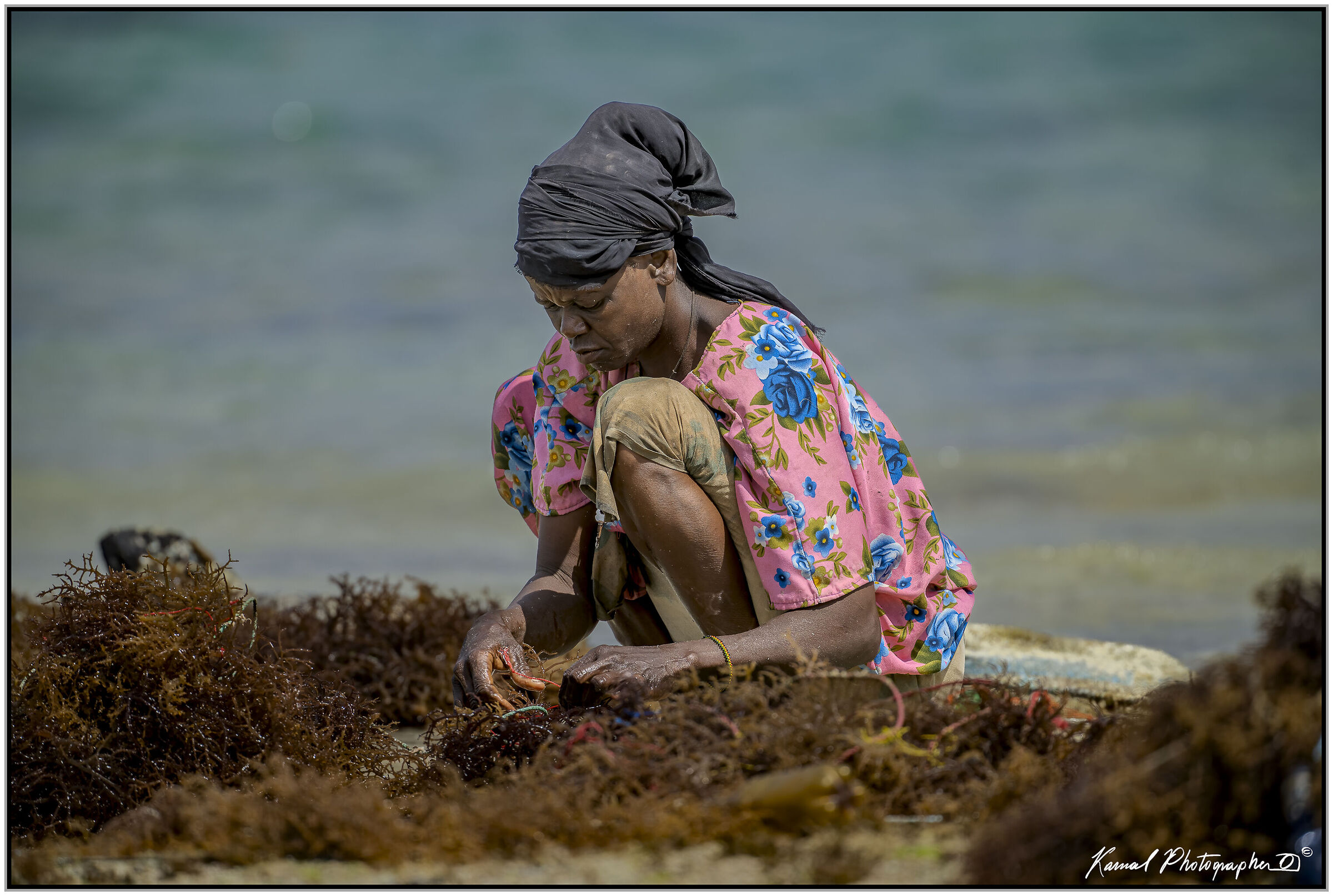 Seaweed Harvester (Zanzibar)
