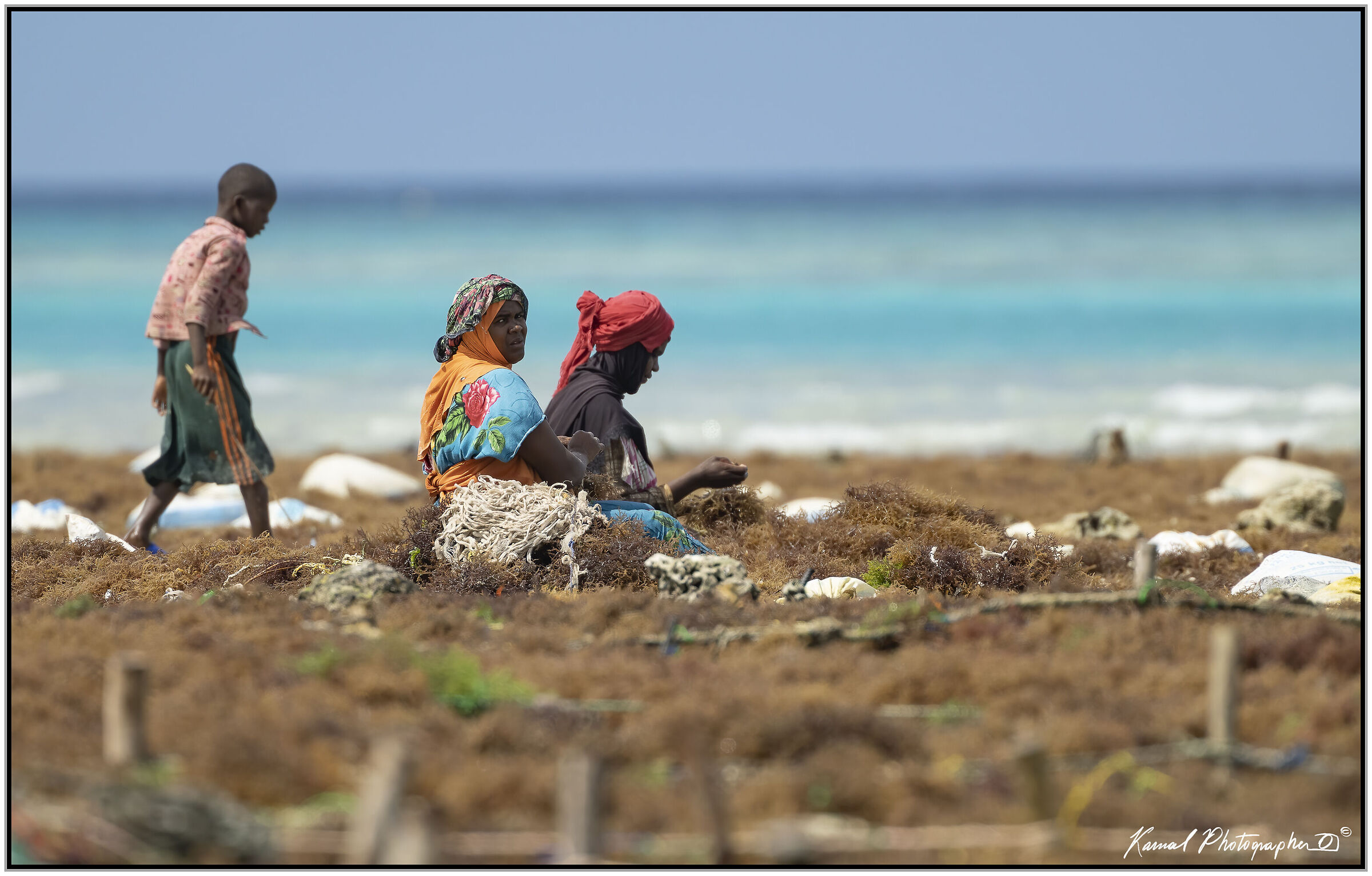 Raccoglitrici di alghe (Zanzibar)