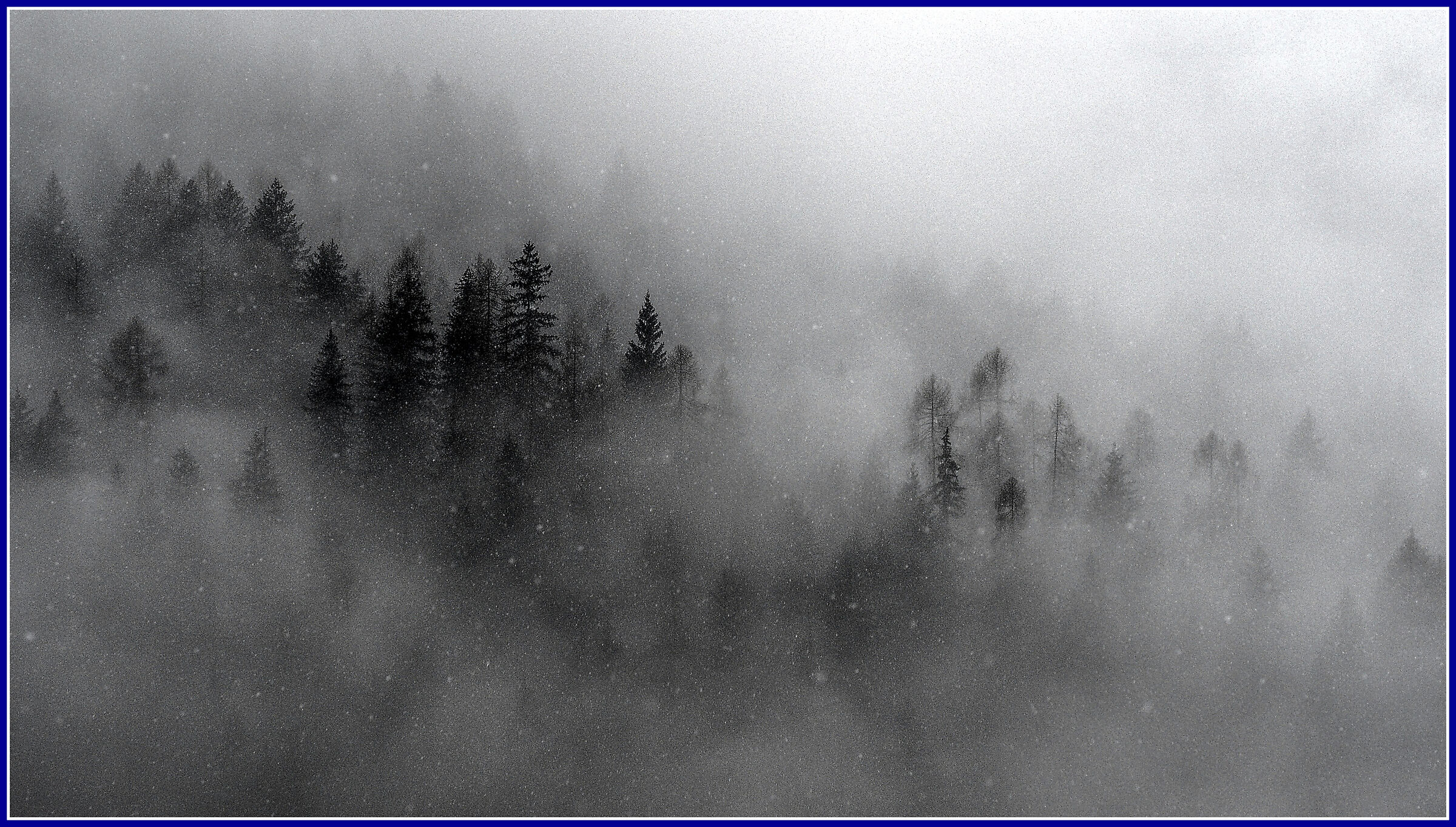 Forest, cloud, snow...