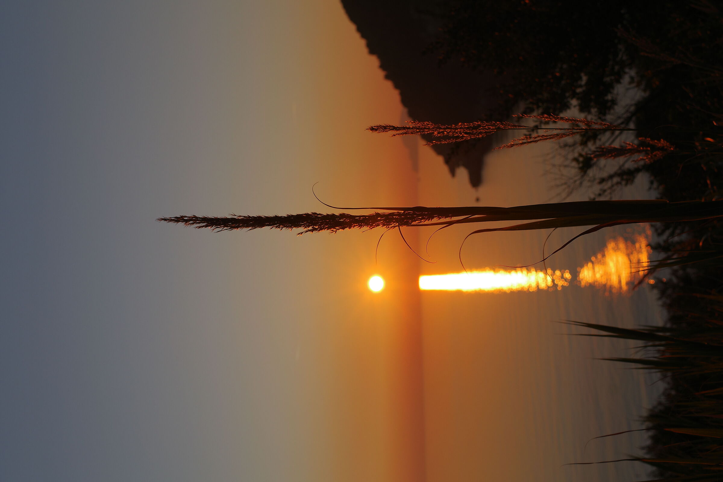 Tramonto di un parallelismo