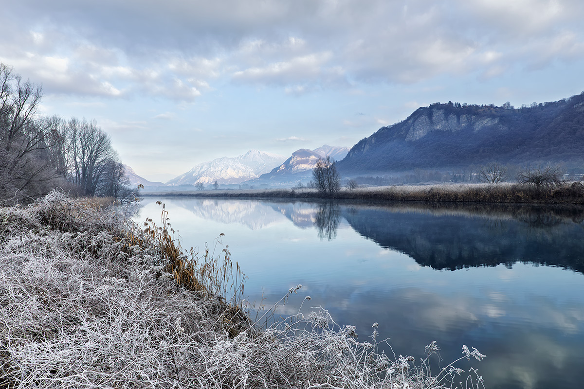 The frost