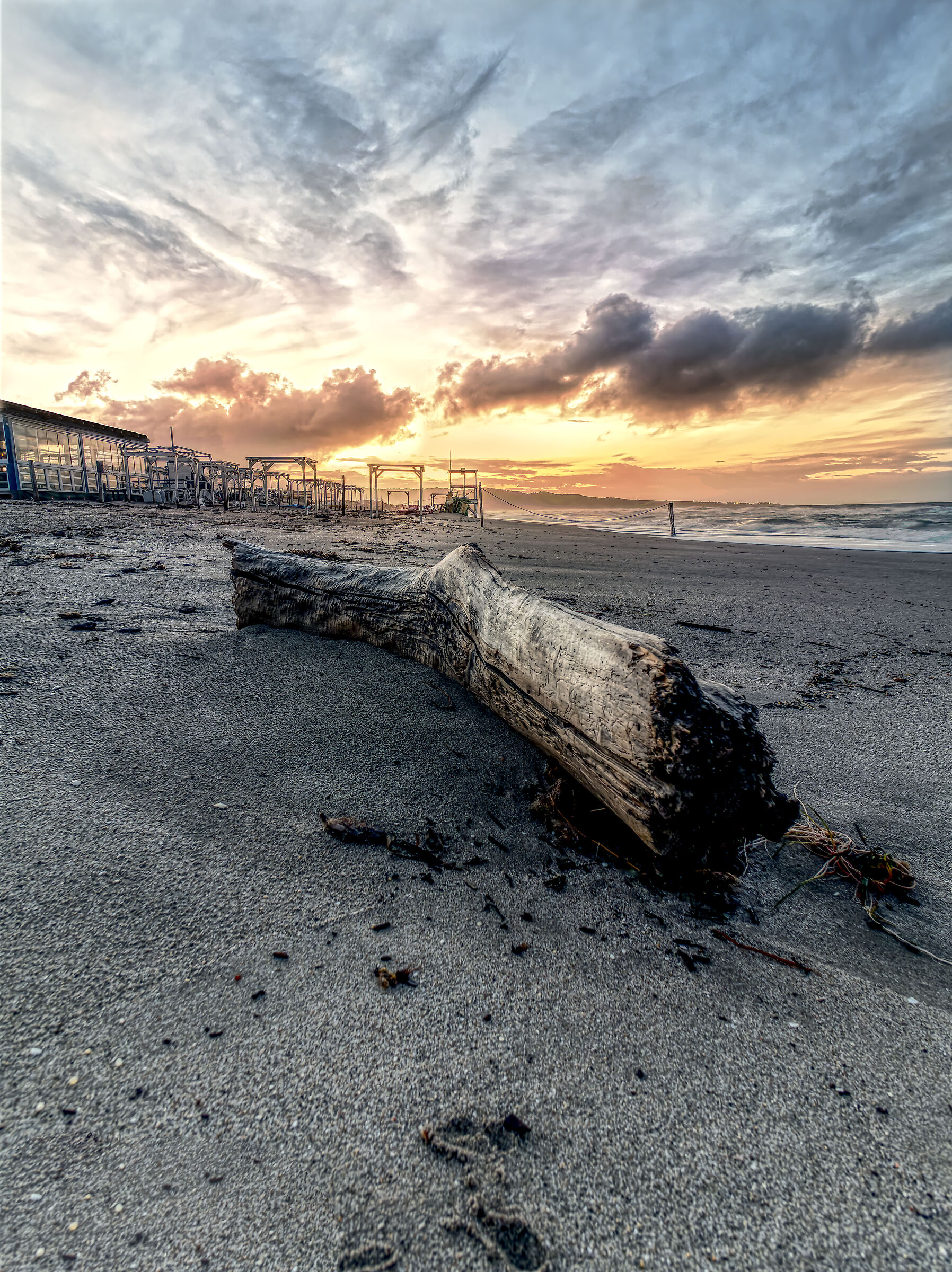 Tronco sulla spiaggia