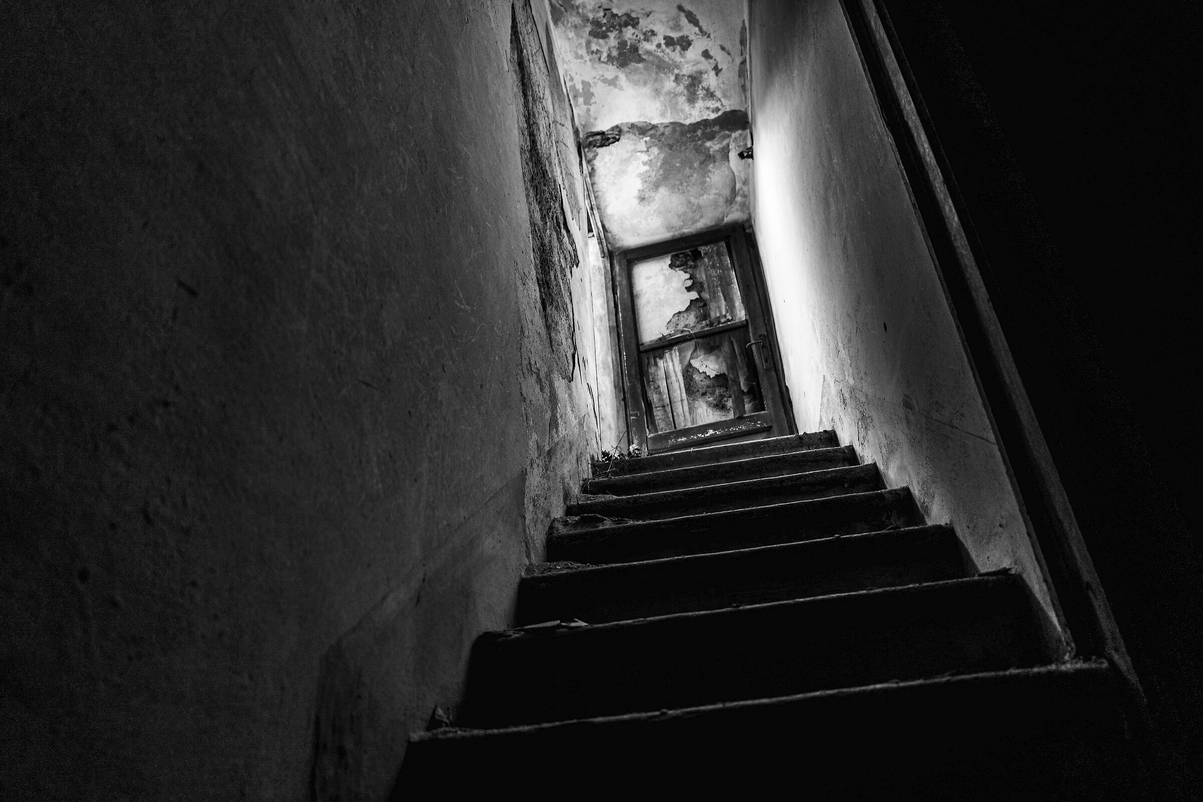 The door