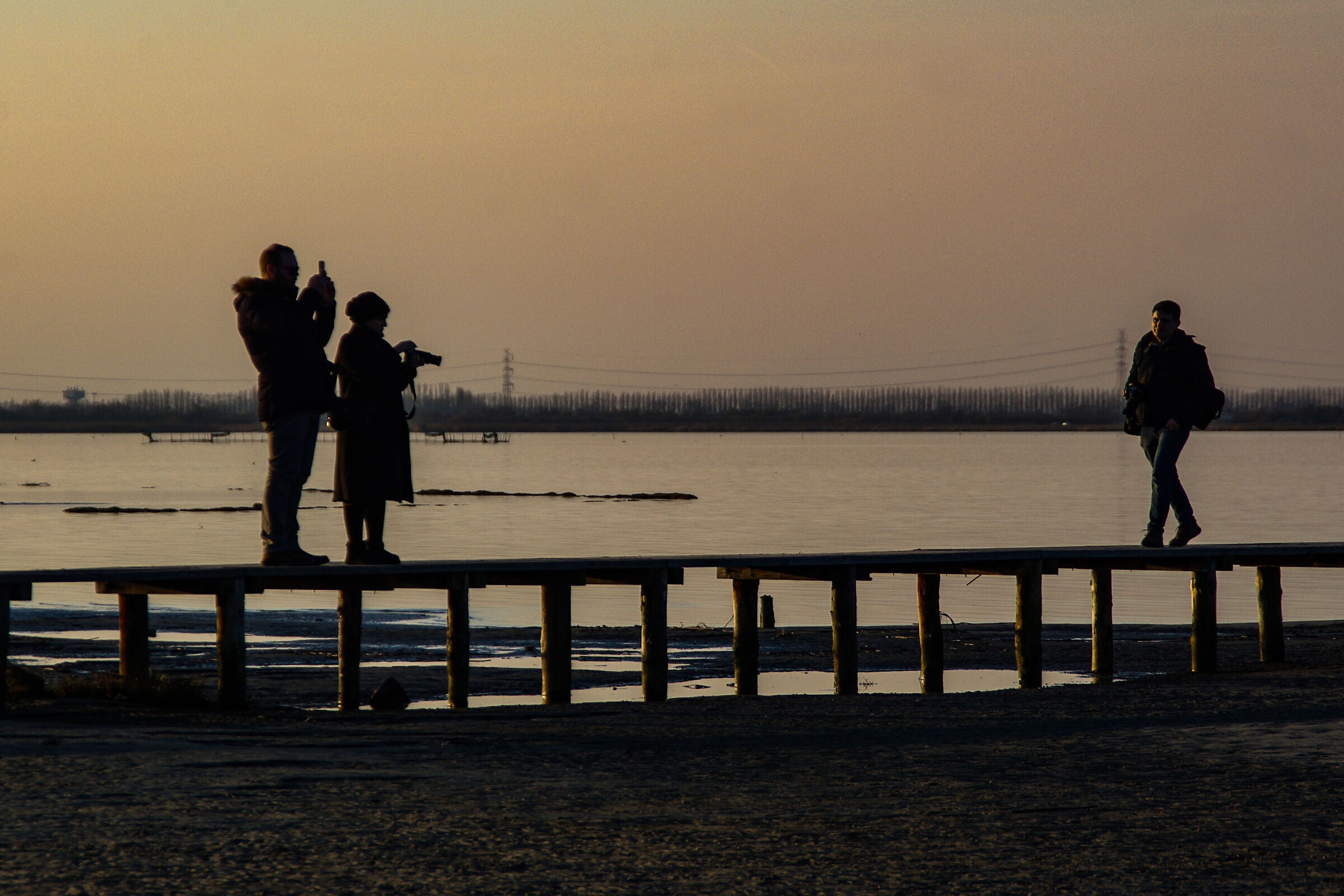 How did your photo turn out?