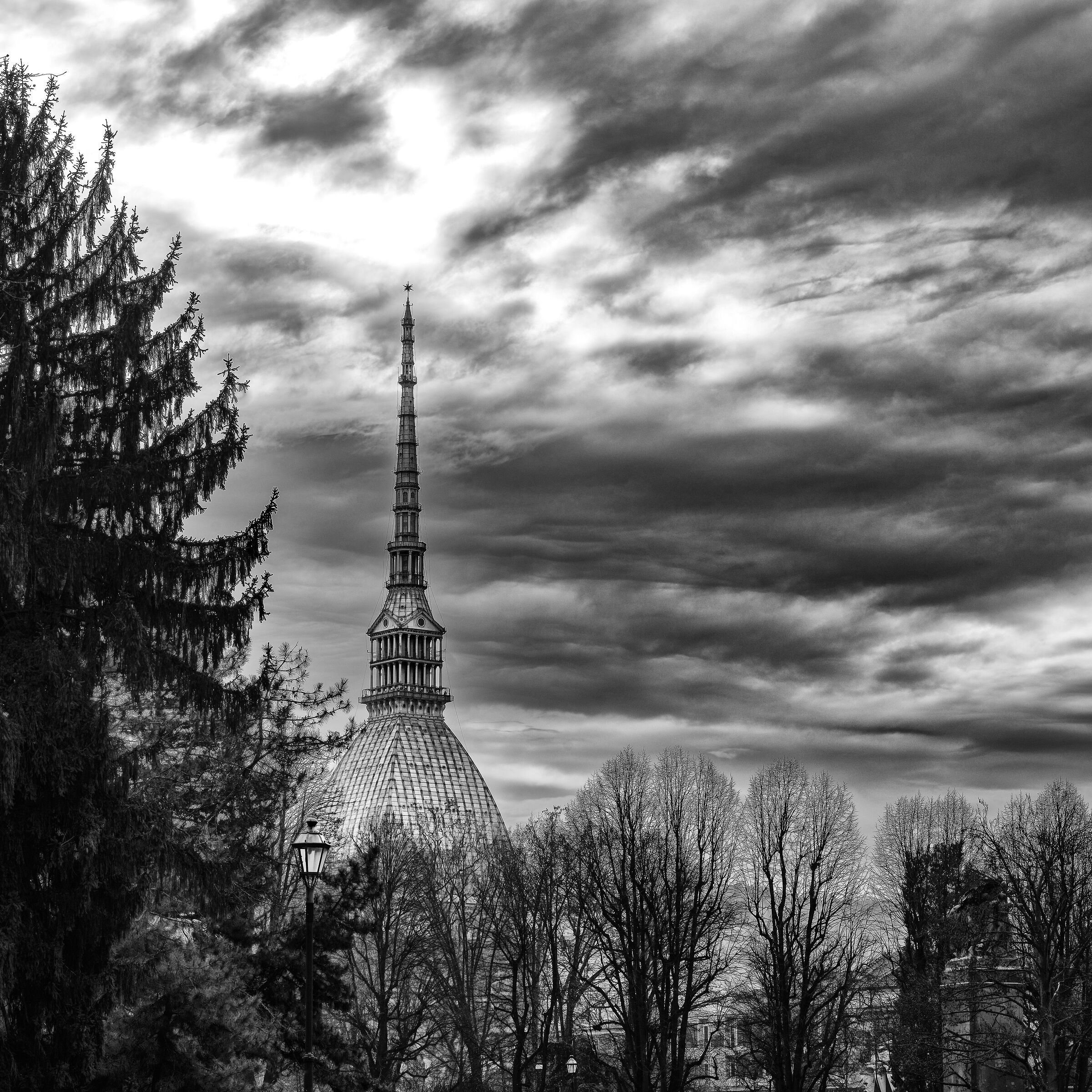 Giardini Reali - Torino
