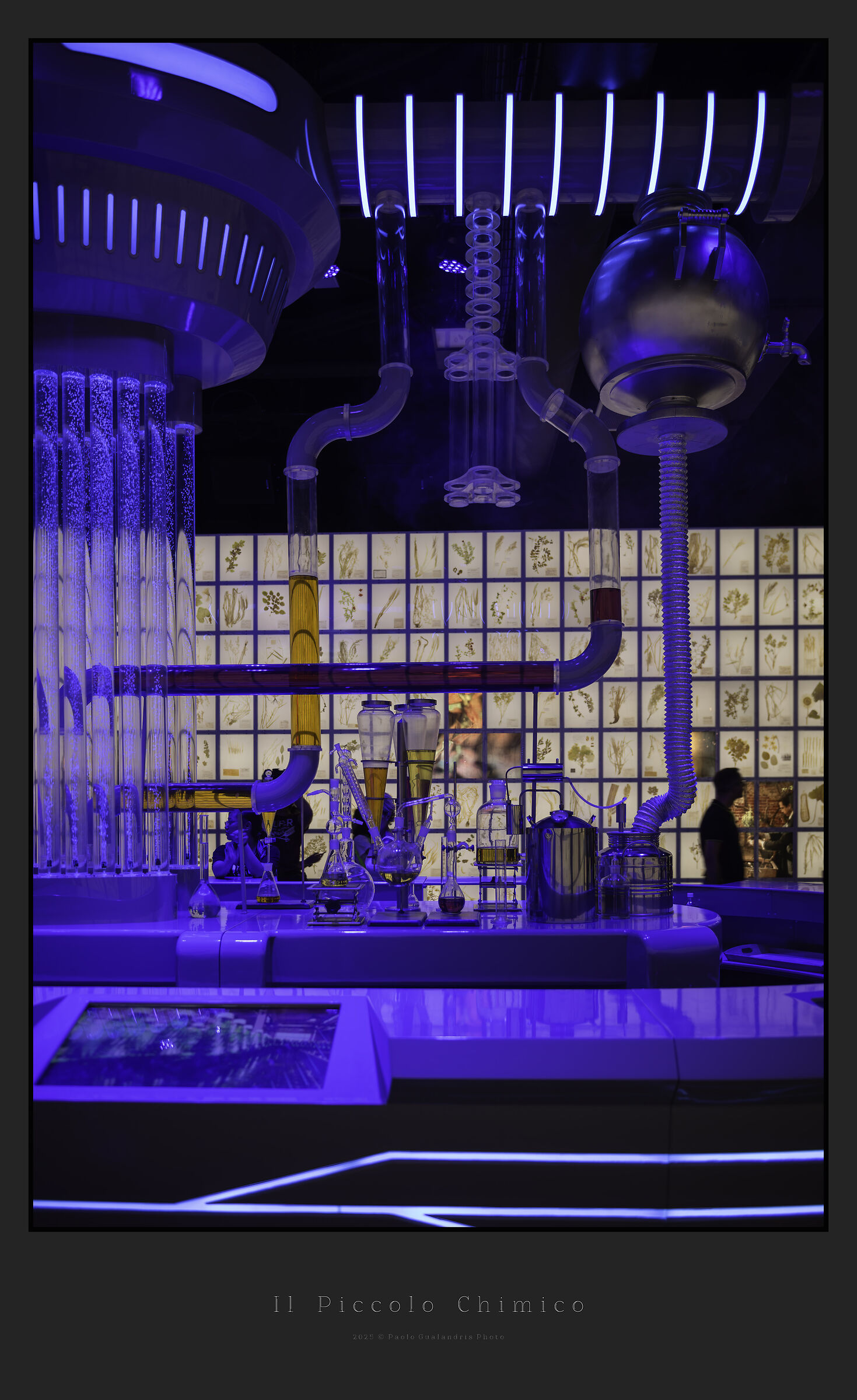 The Little Chemist