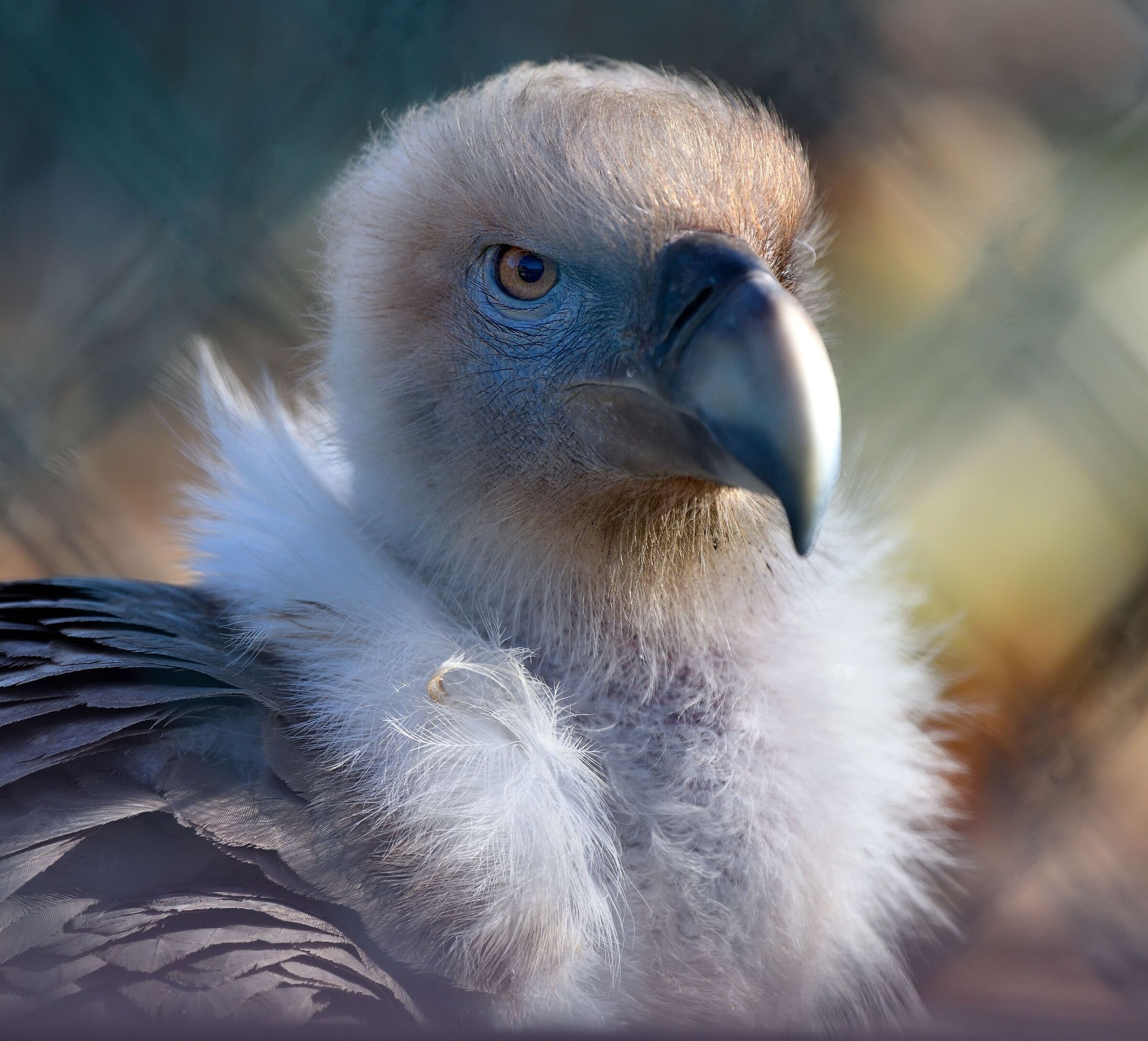 ho un certo fascino...